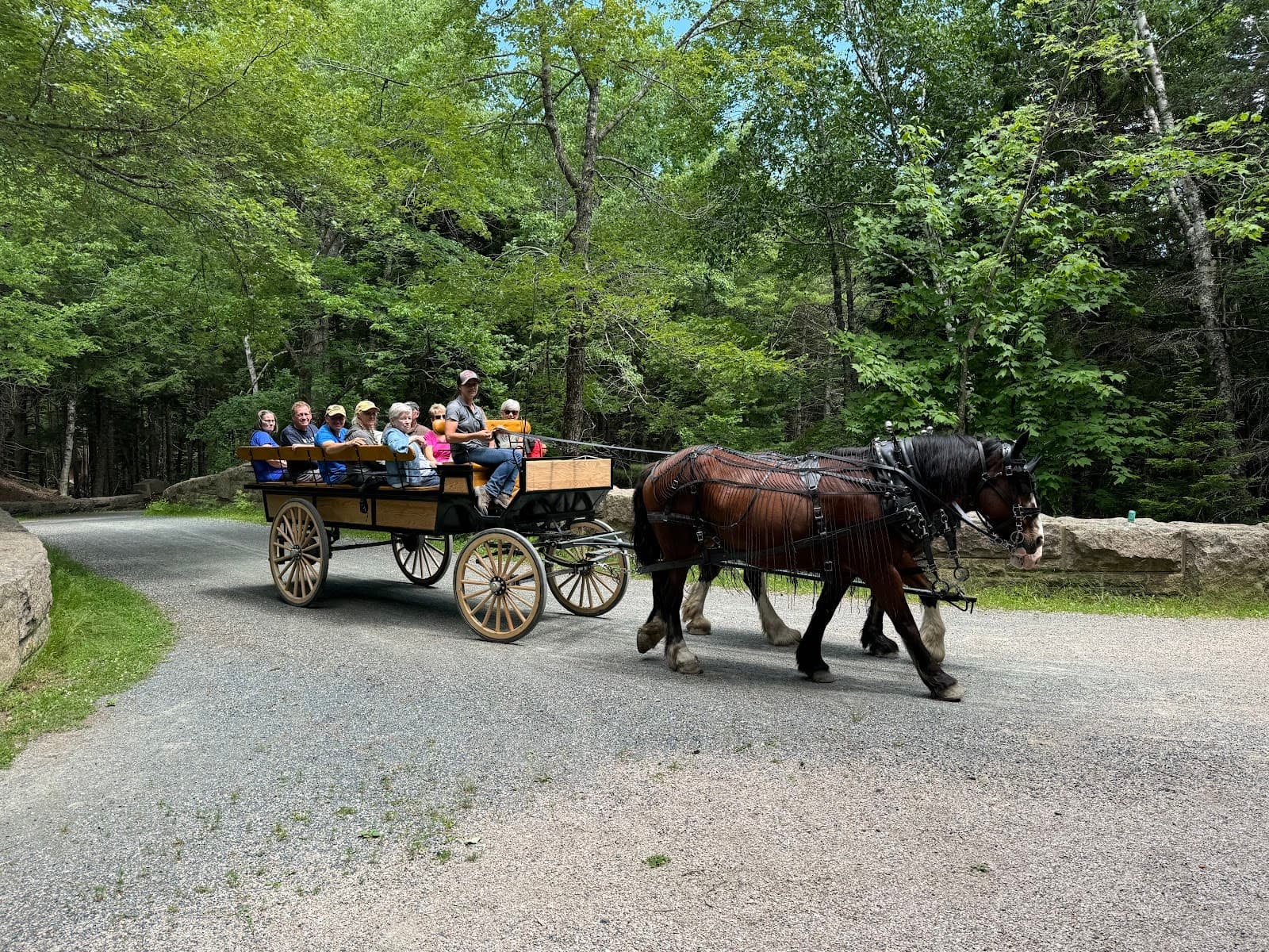 Acadia National Park | Wildwood Stables & Carriage Roads