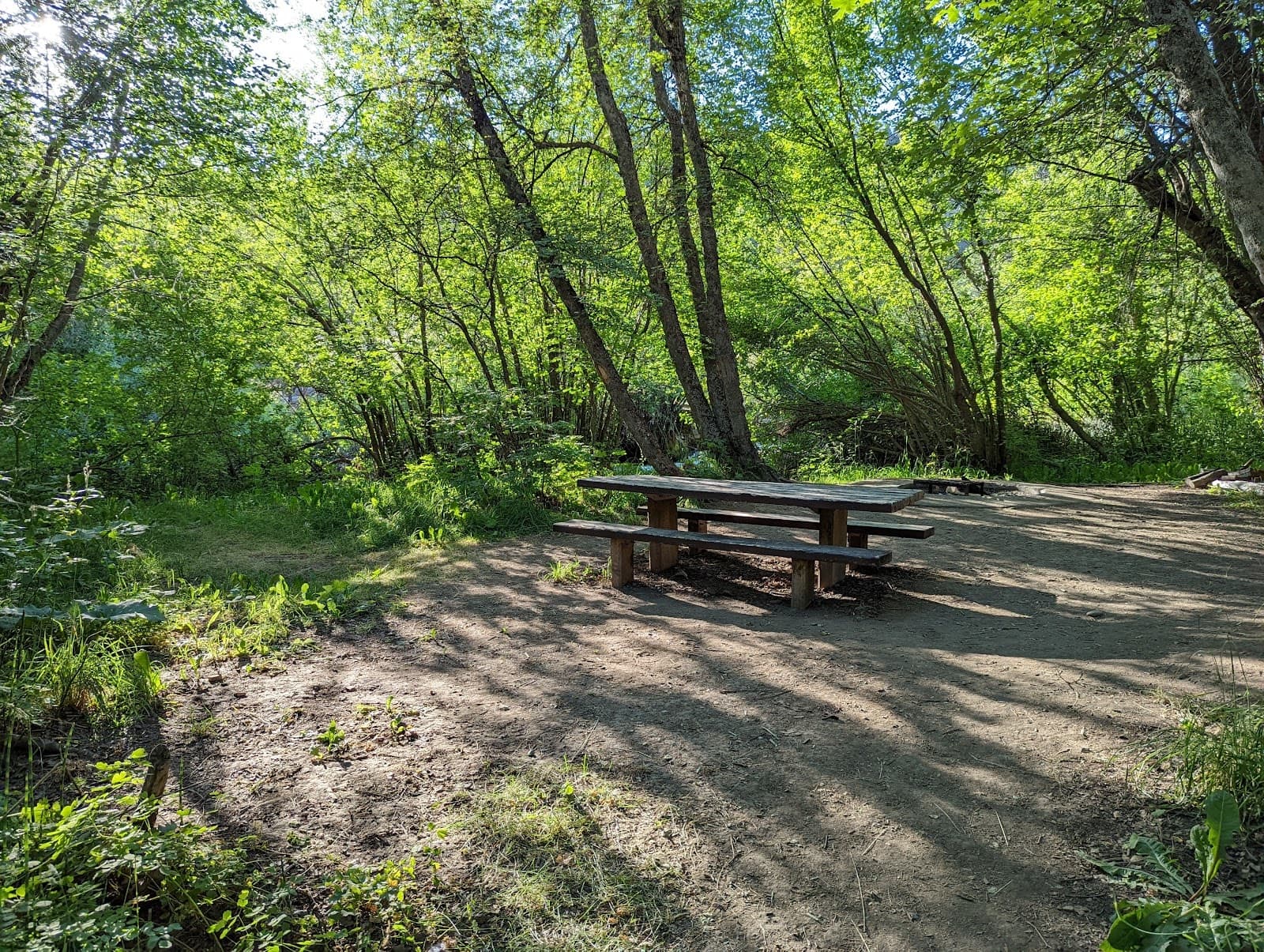 Albert Moser Campground