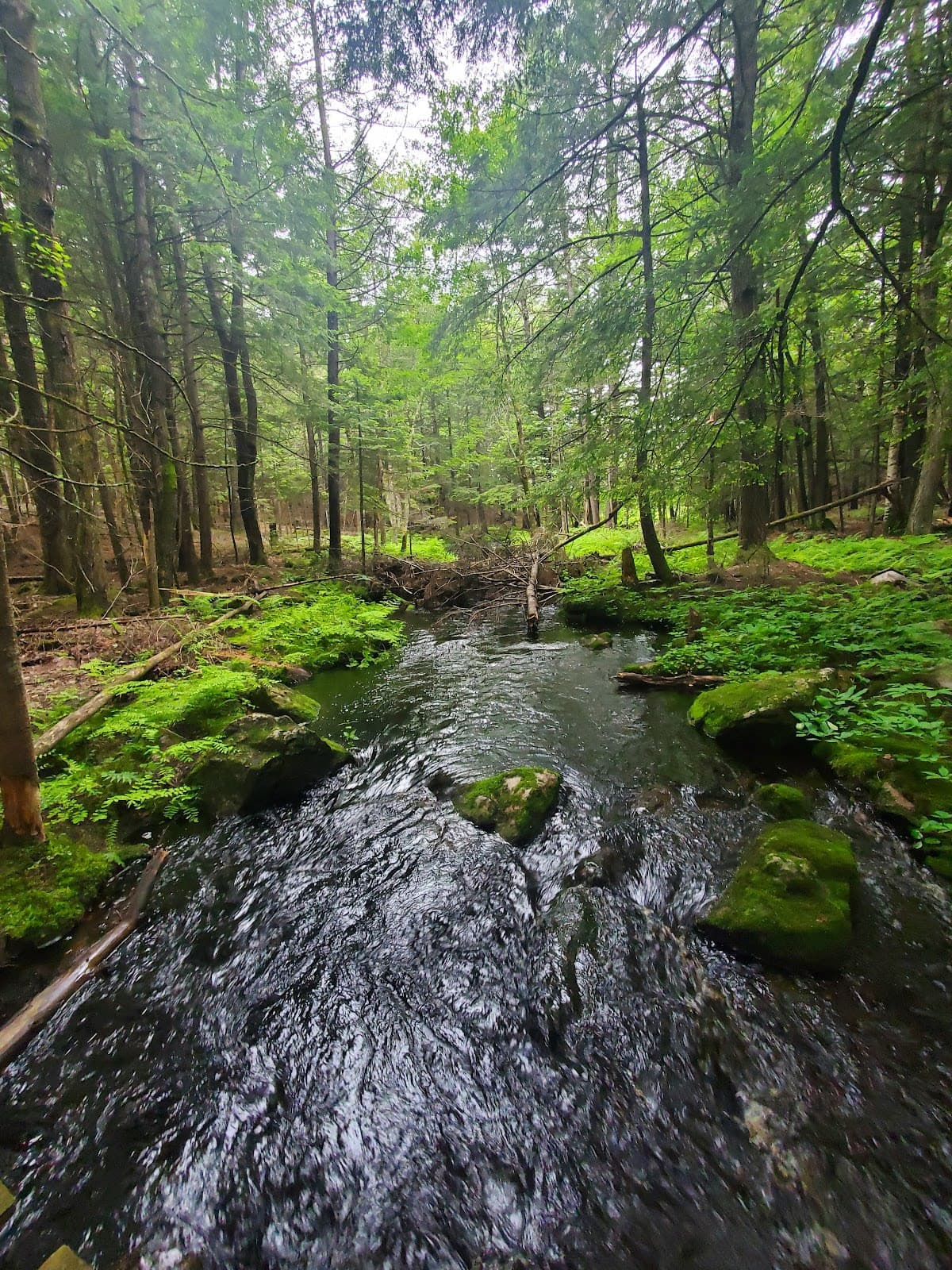 Androscoggin Riverlands State Park