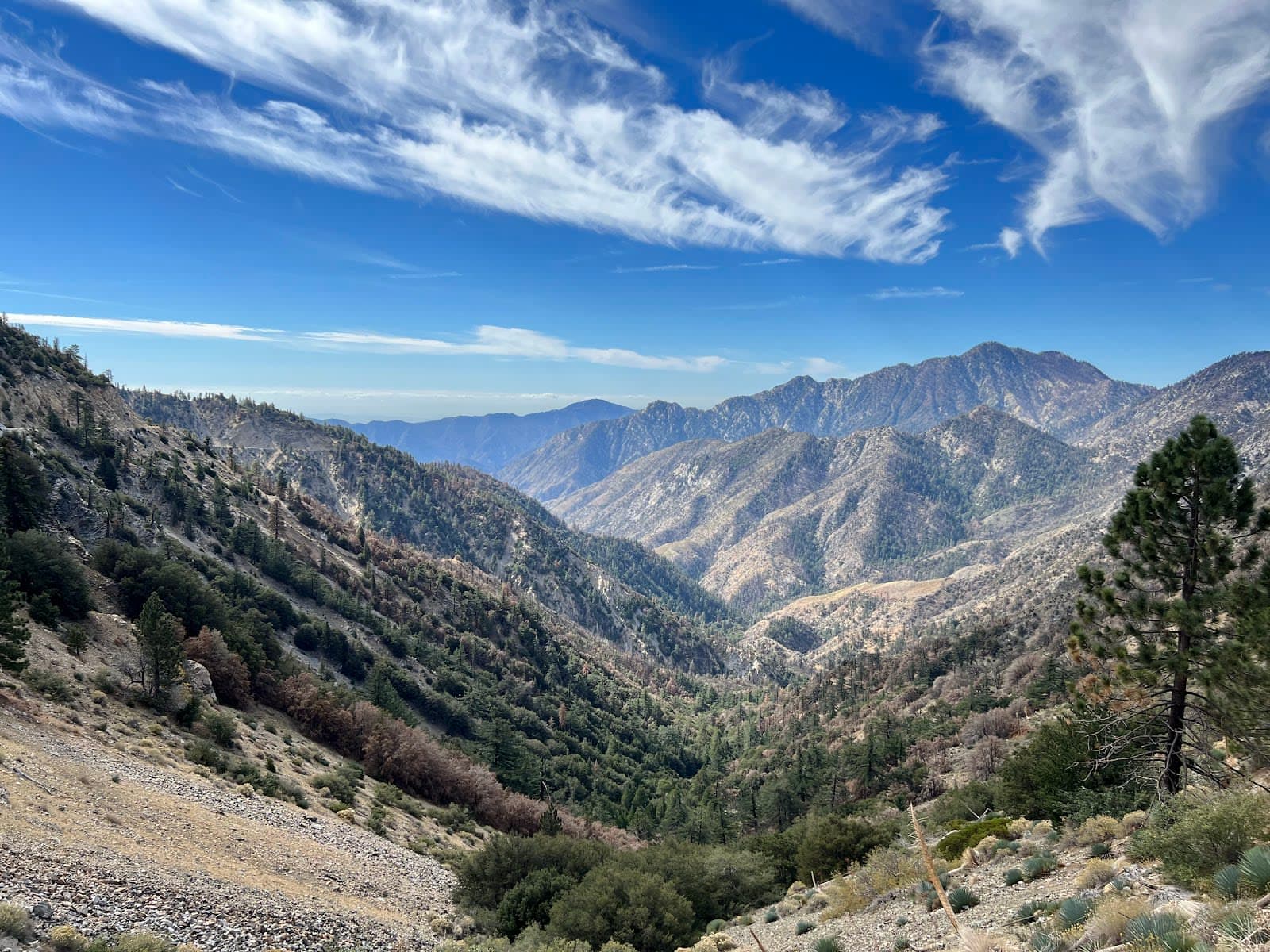Angeles National Forest