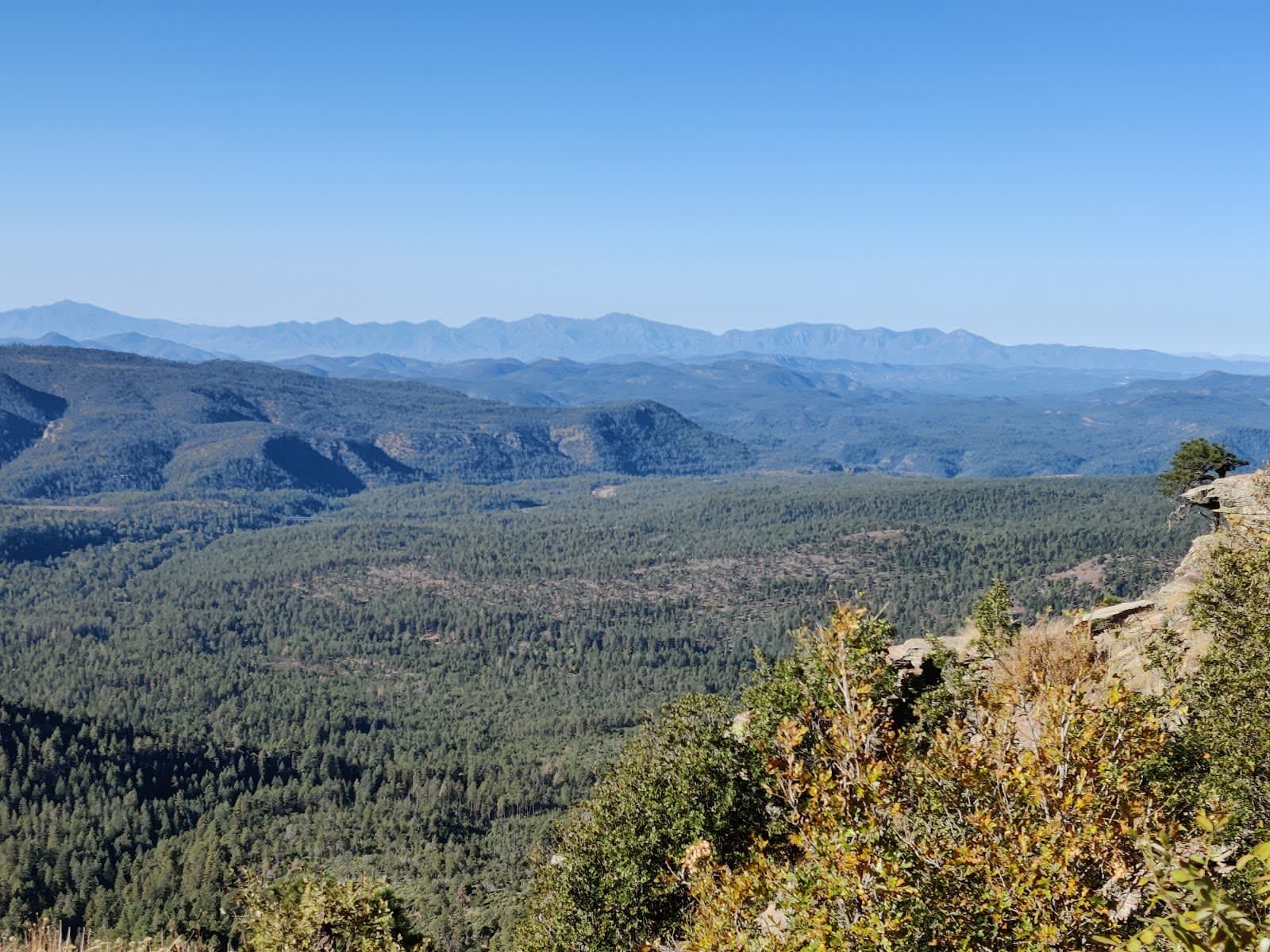 Apache–Sitgreaves National Forests