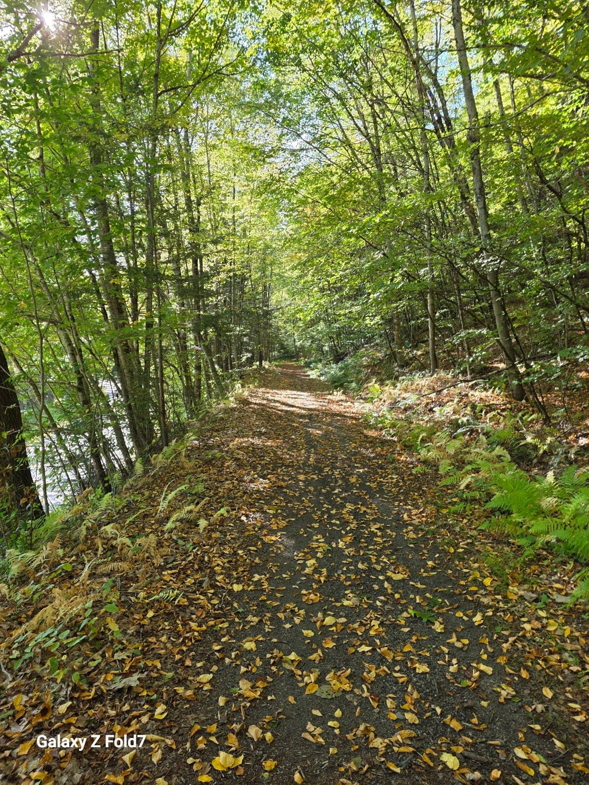 Ashuelot Recreational Rail Trail