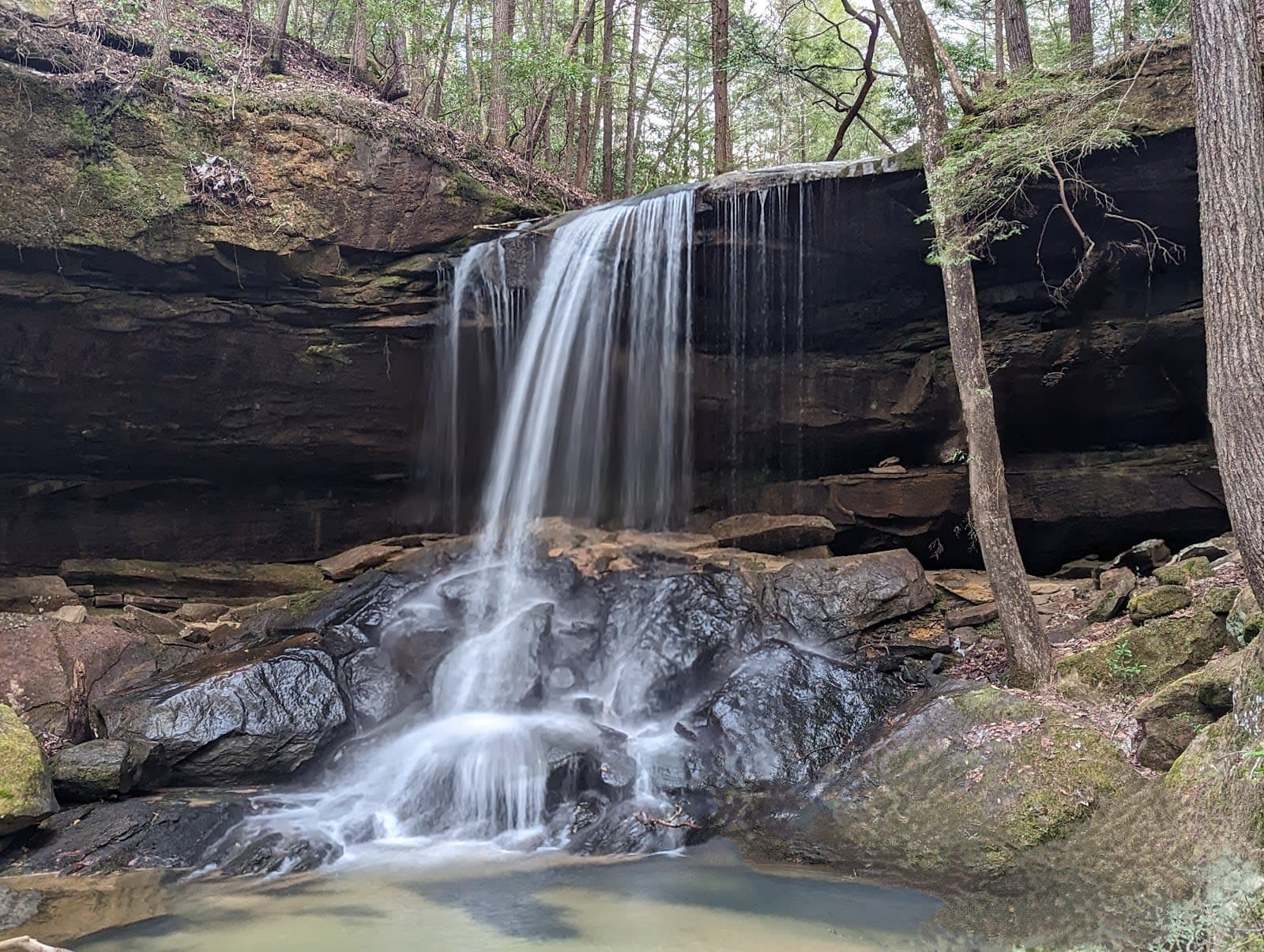 Bankhead National Forest / Owl Creek
