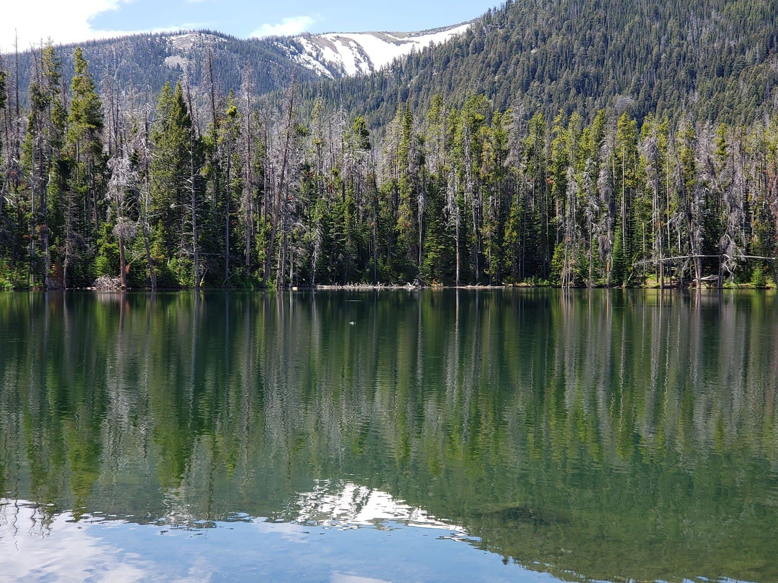 Beaverhead-Deerlodge National Forest