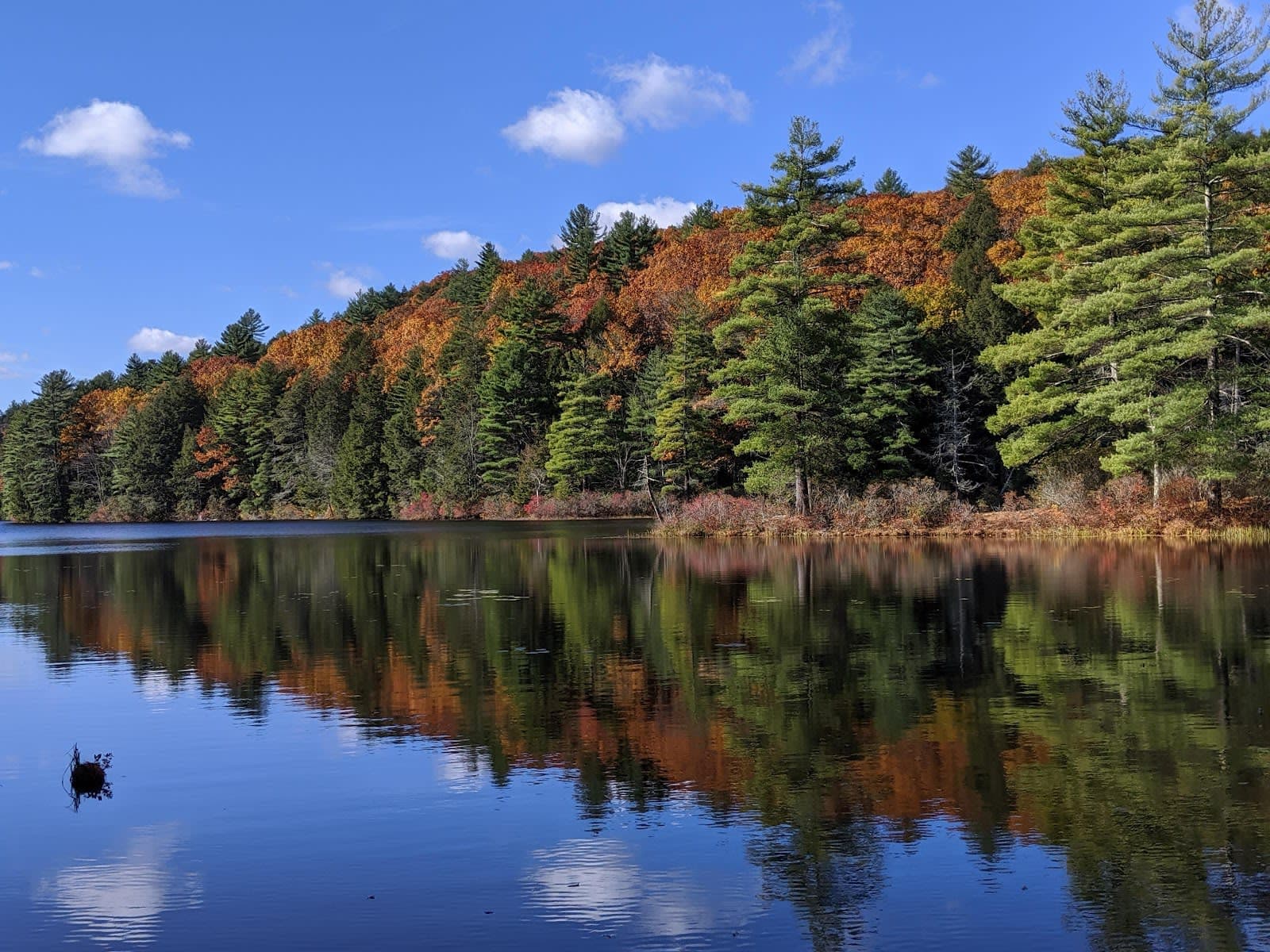 Bigelow Hollow State Park / Nipmuck State Forest