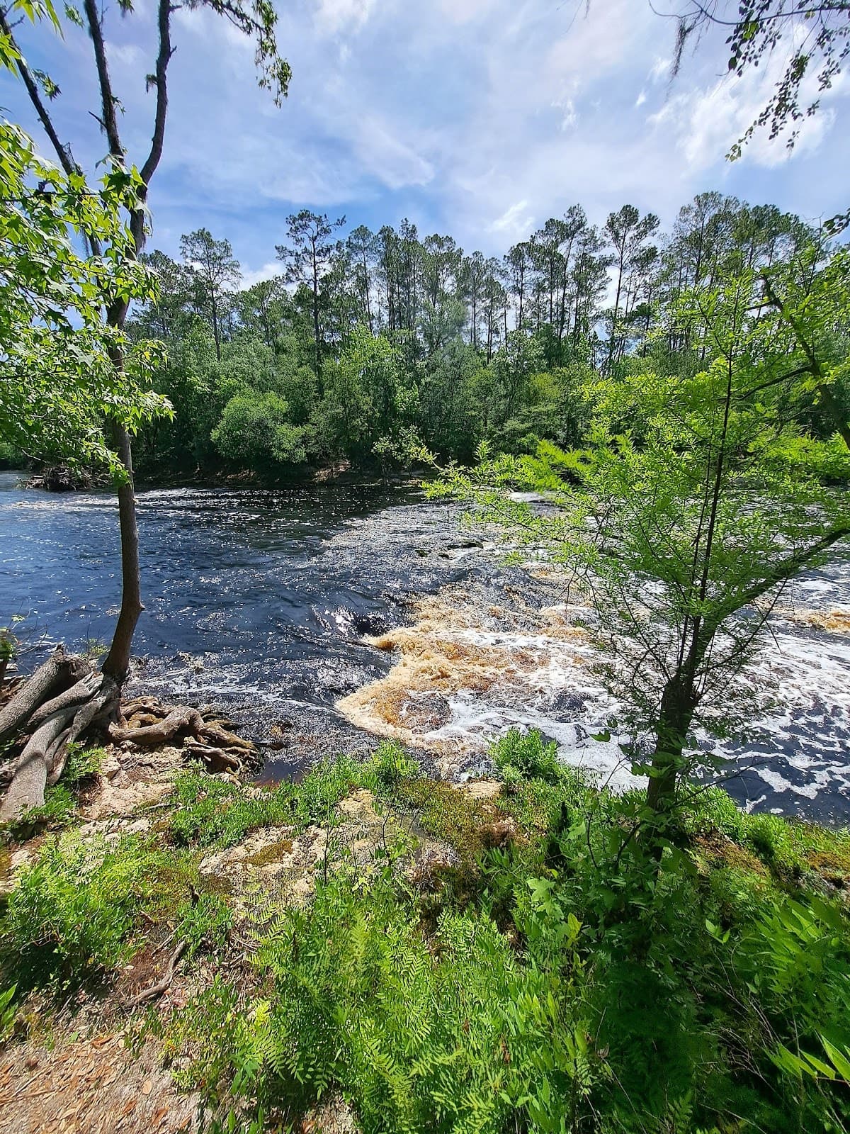 Big Shoals State Park