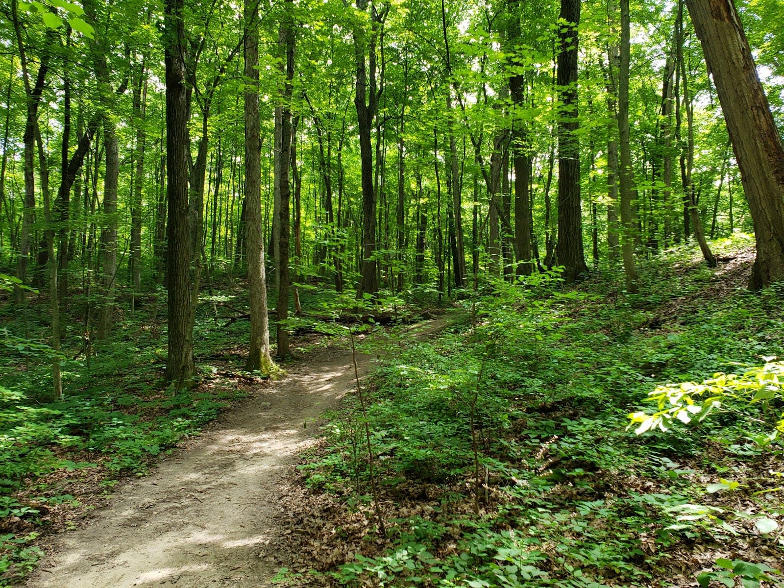 Brighton Recreation Area