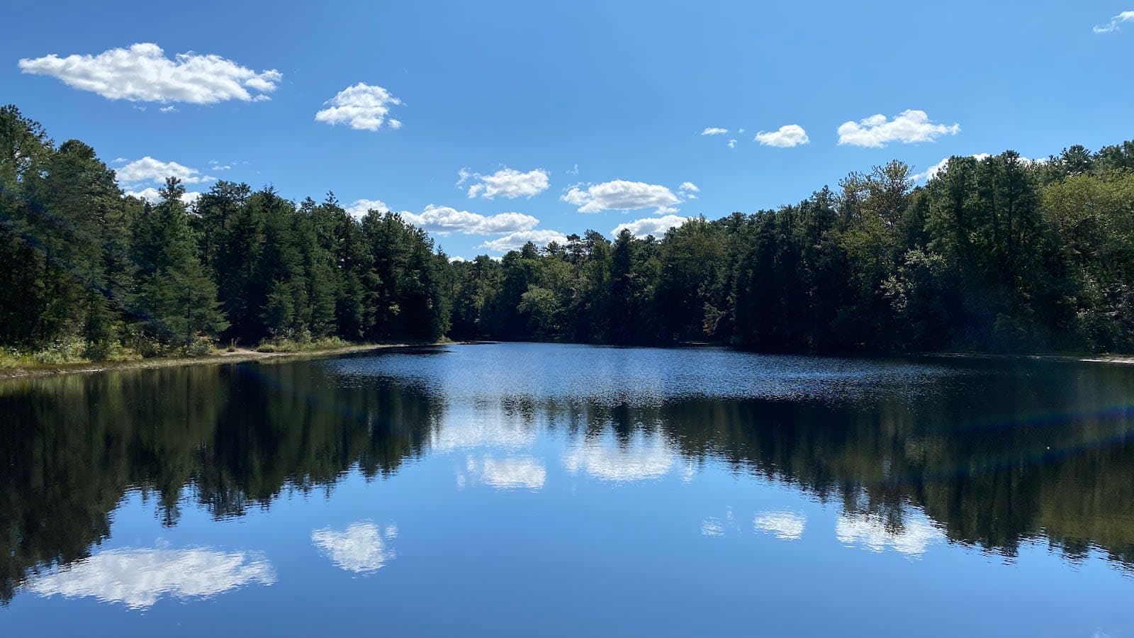 Brendan T. Byrne State Forest