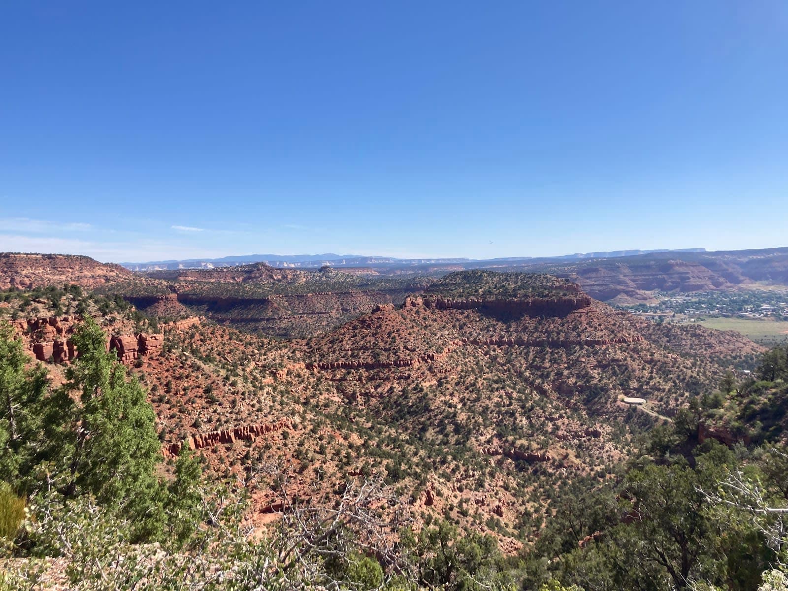 Bunting Trail