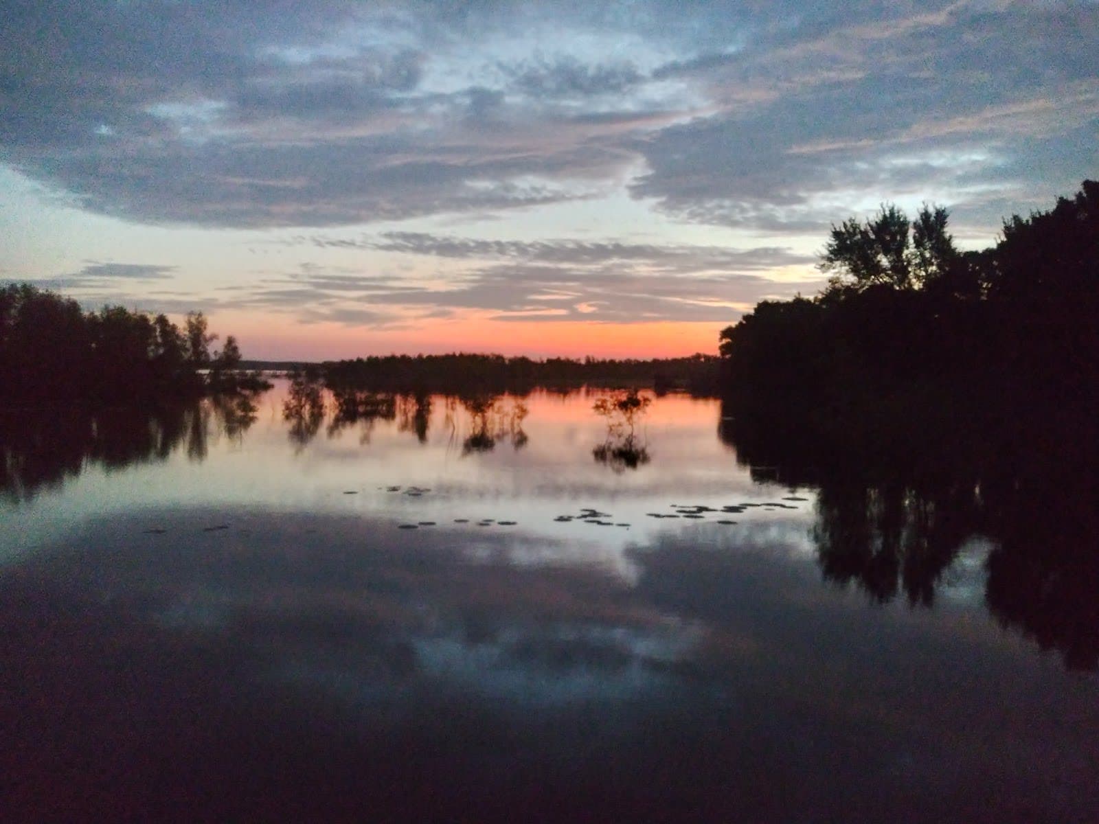 Bussey Brake Wildlife Management Area