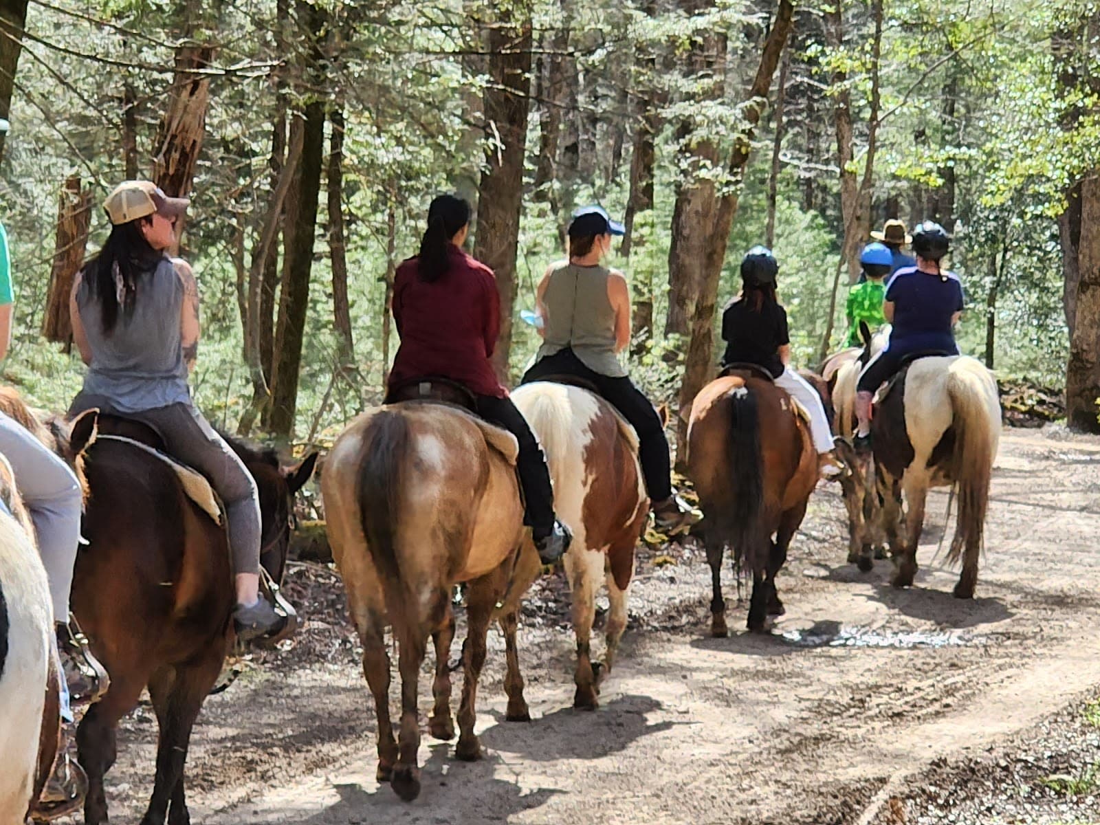 Cades Cove Riding Stables