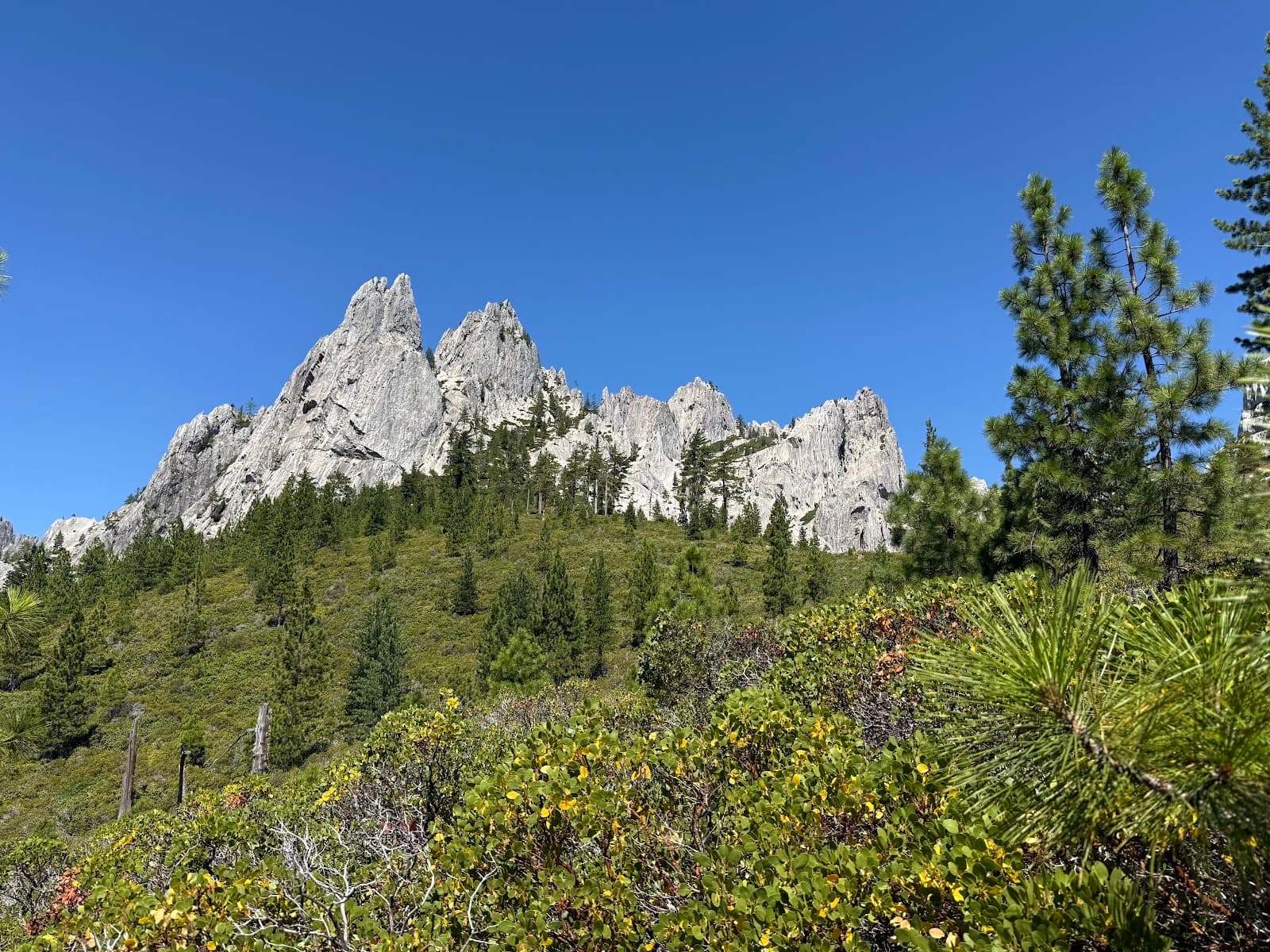 Castle Crags State Park