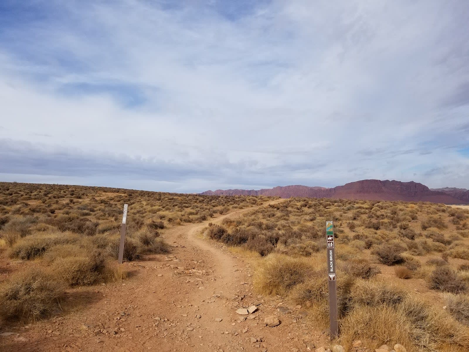 Cholla Trail / Santa Clara River Reserve