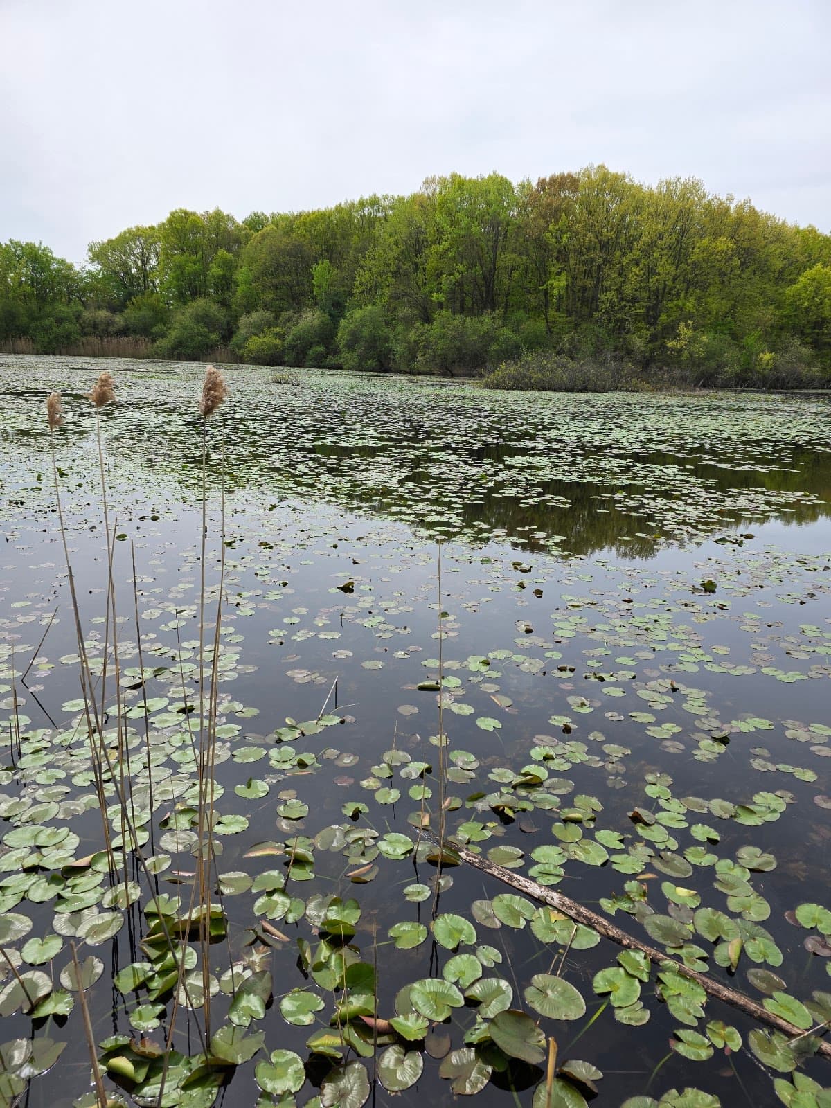 Clay Pit Ponds State Park Preserve