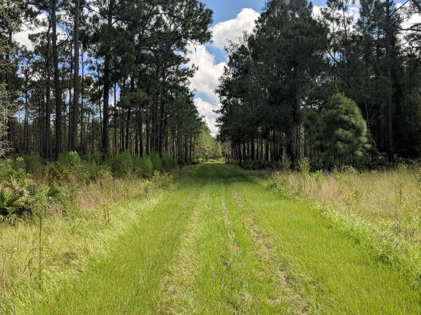 Colt Creek State Park