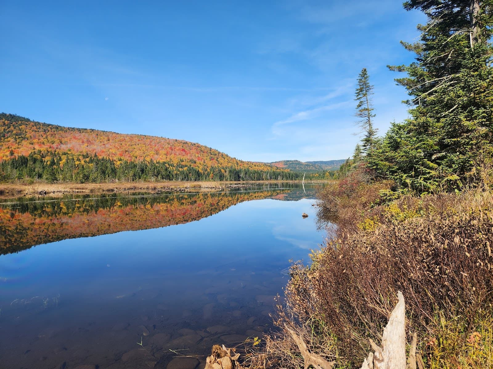 Connecticut Lakes Headwaters Working Forest