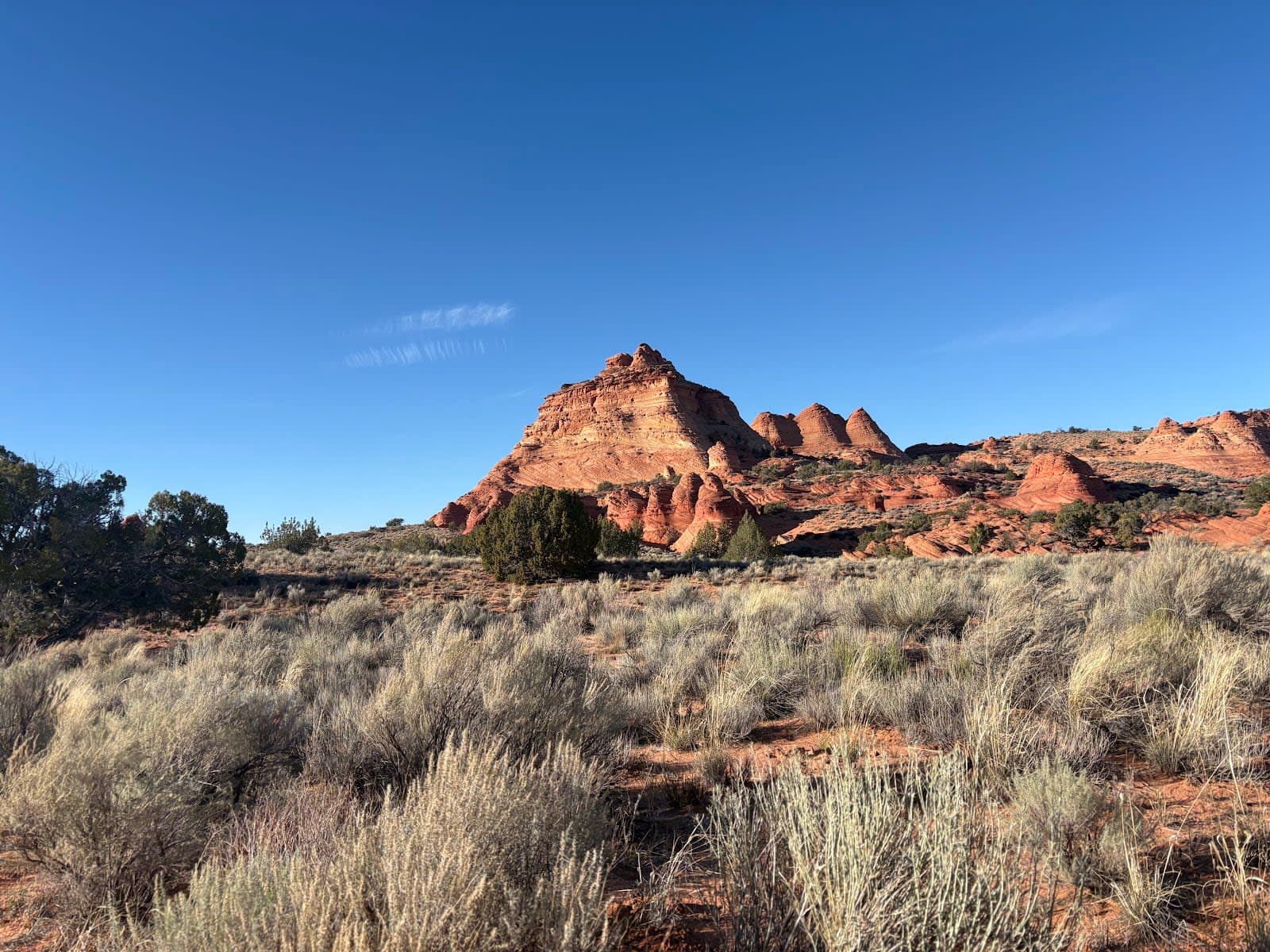 Cottonwood Trail
