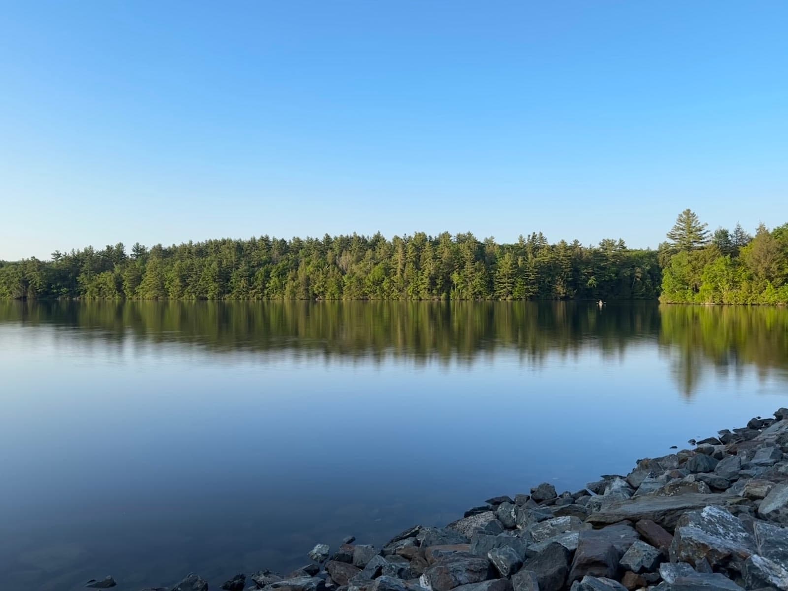 Daughters of the American Revolution (DAR) State Forest