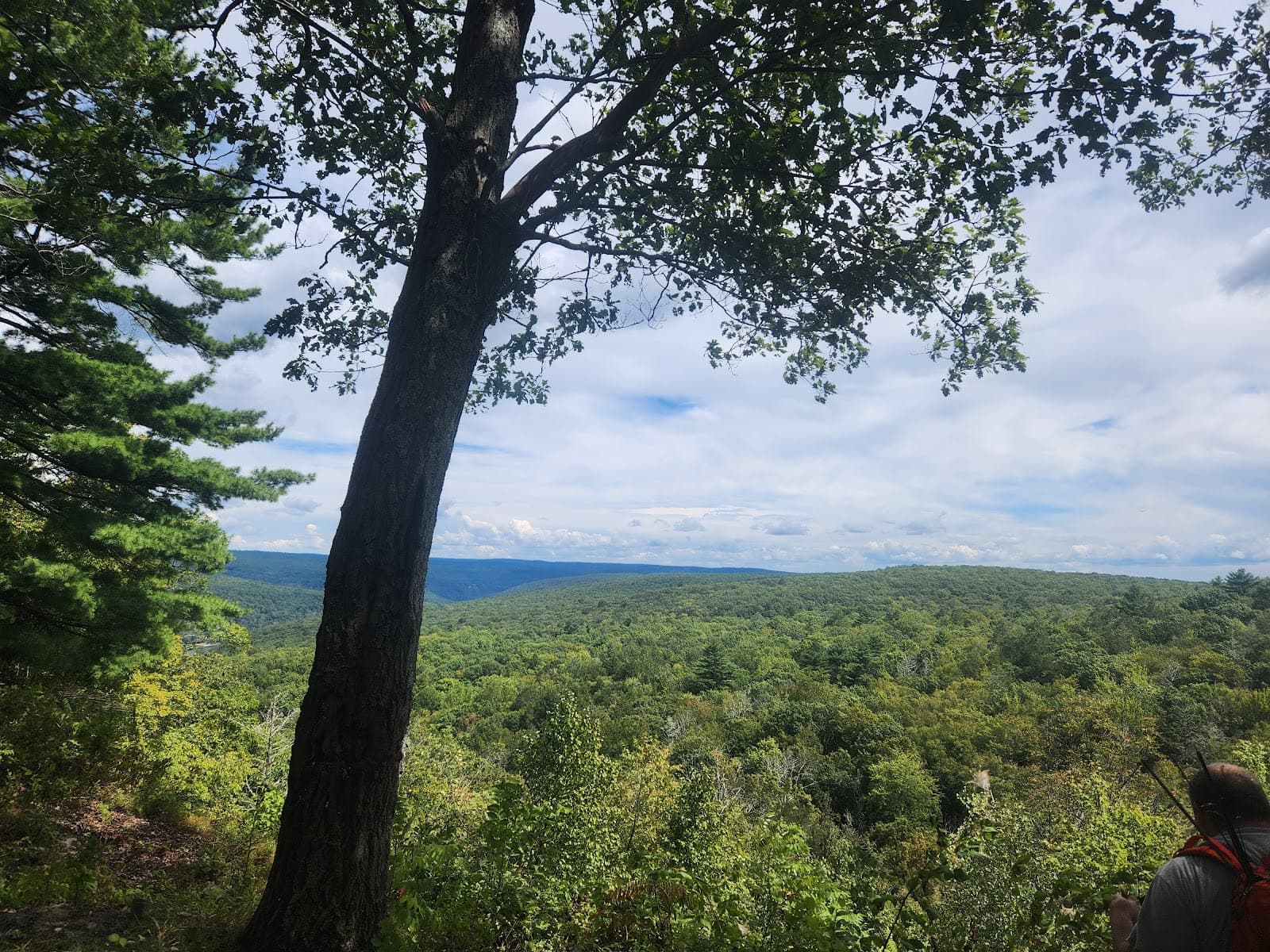 Delaware State Forest / Promised Land Tract