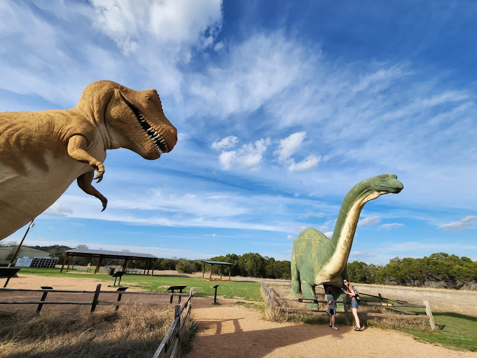 Dinosaur Valley State Park