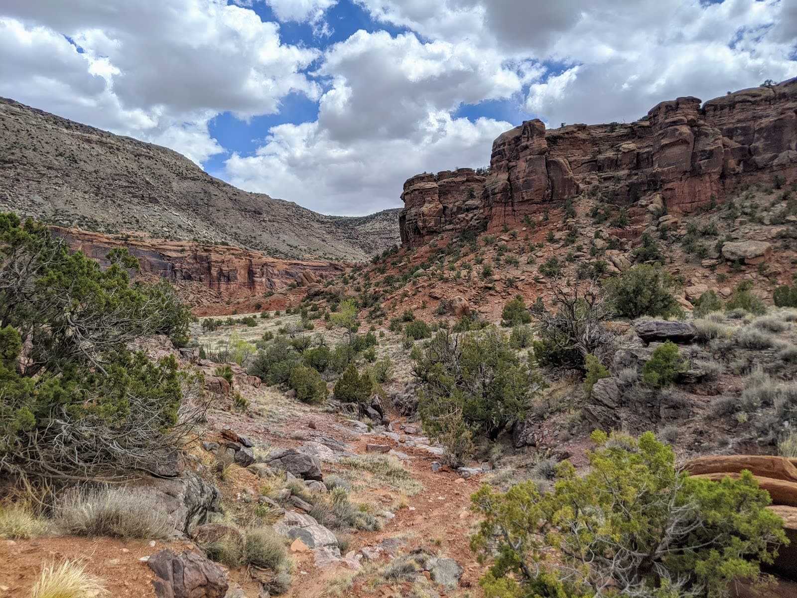 Dominguez–Escalante National Conservation Area