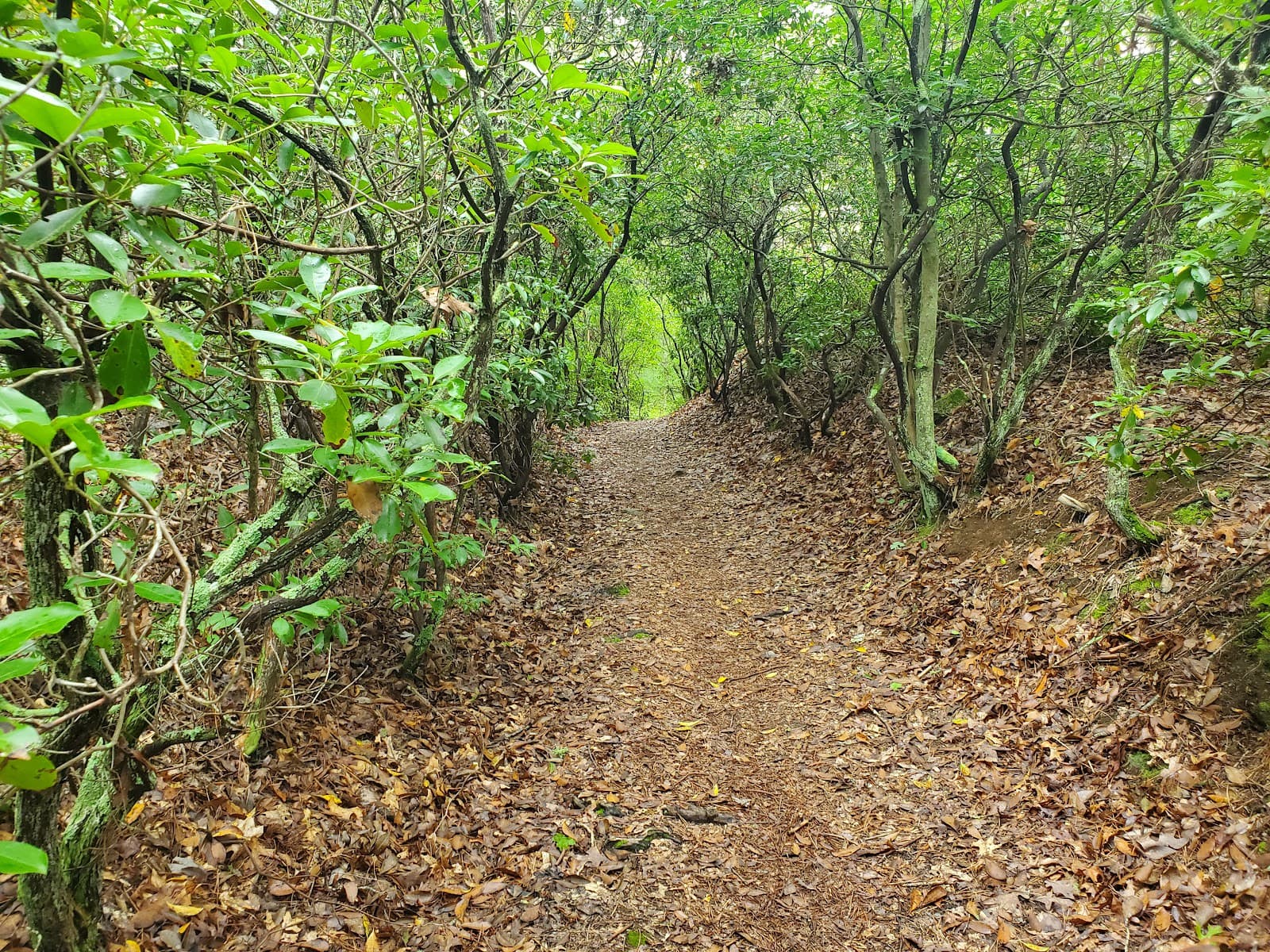 DuVal Trail System