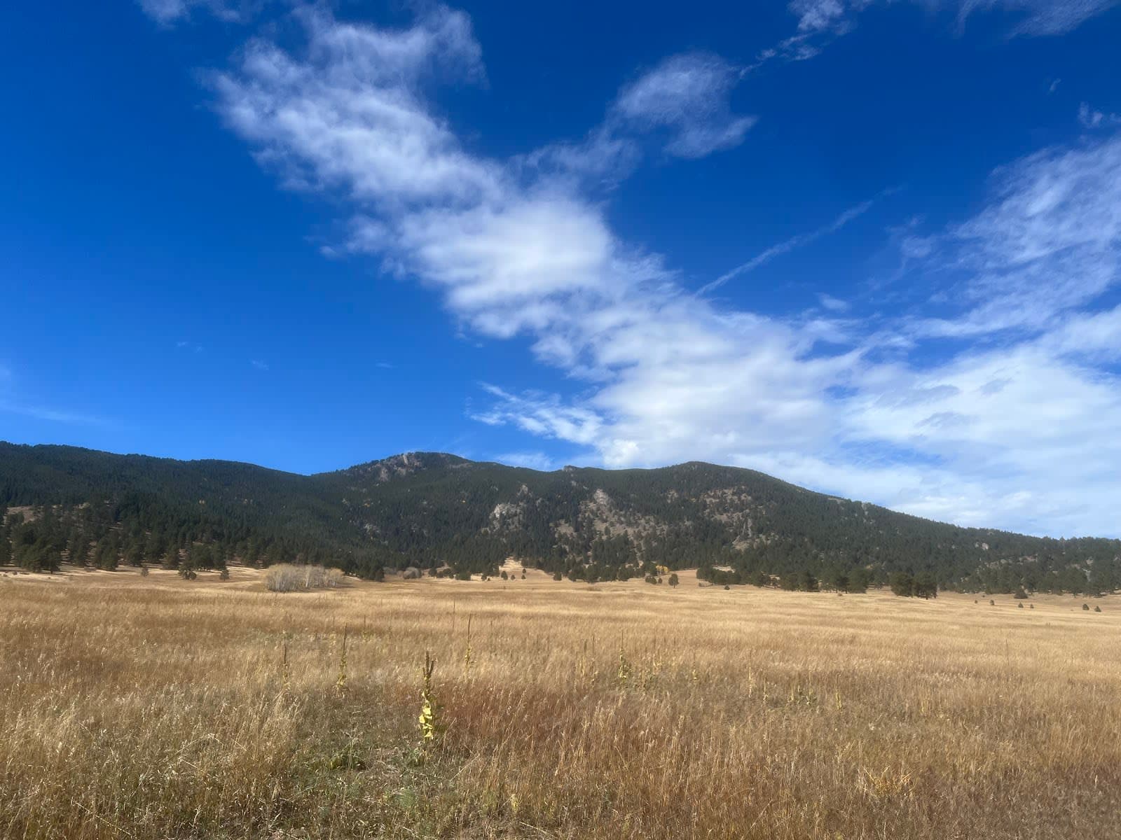 Elk Meadow Park
