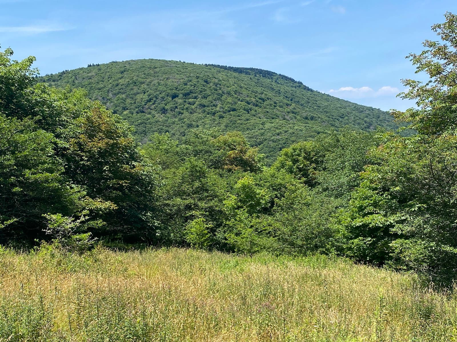 Elk Garden Trailhead / Virginia Highlands Horse Trail