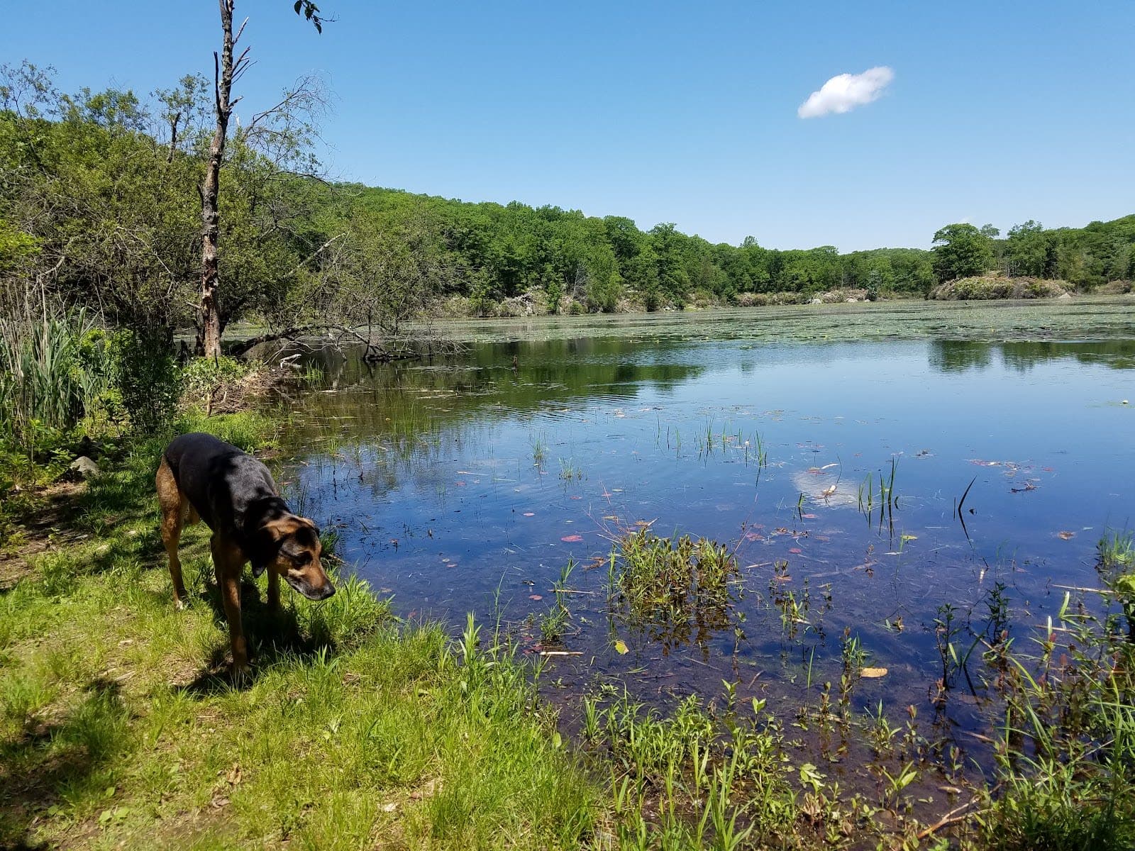 Fahnestock State Park (Clarence Fahnestock)