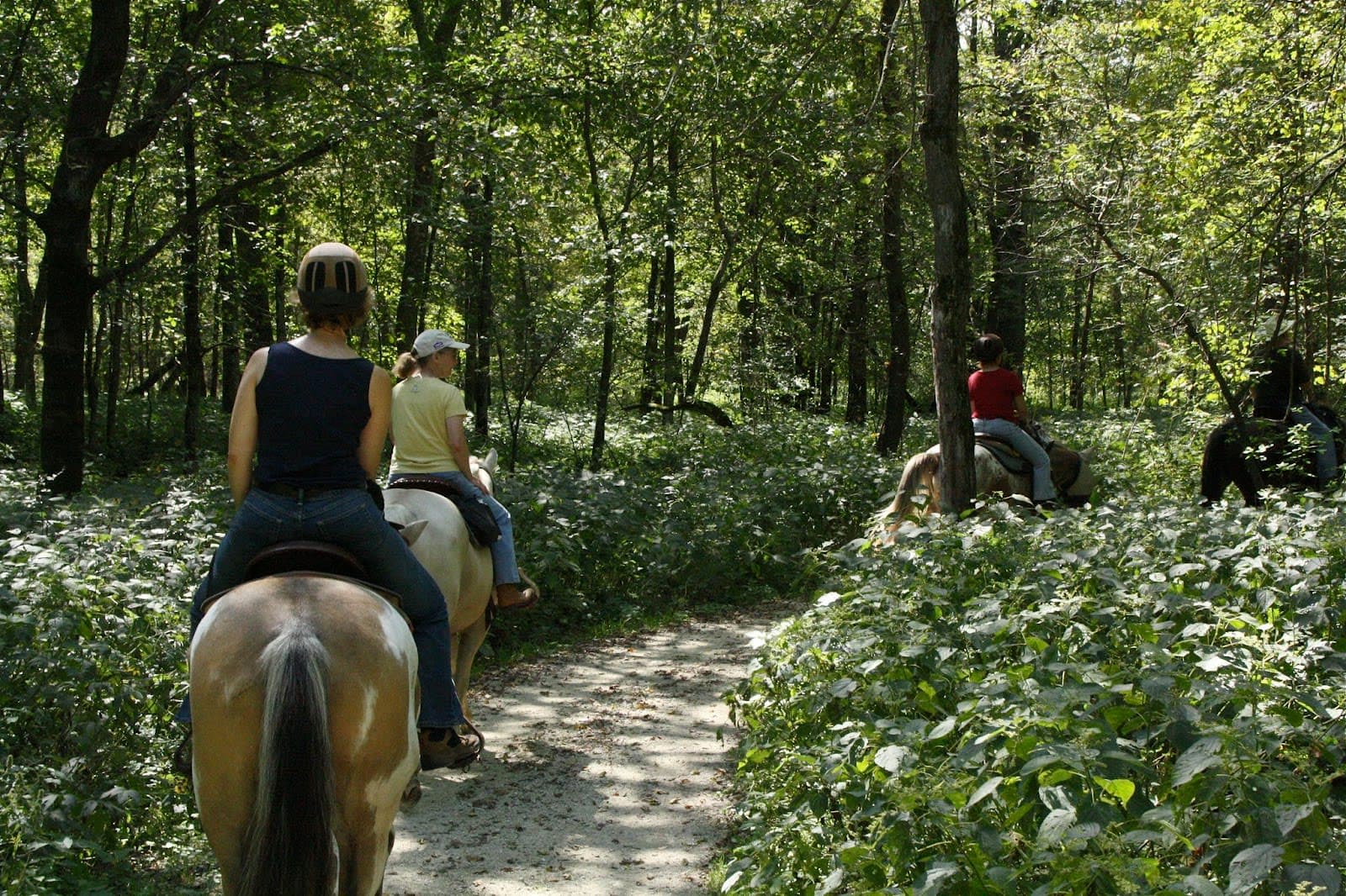 Forestville / Mystery Cave State Park