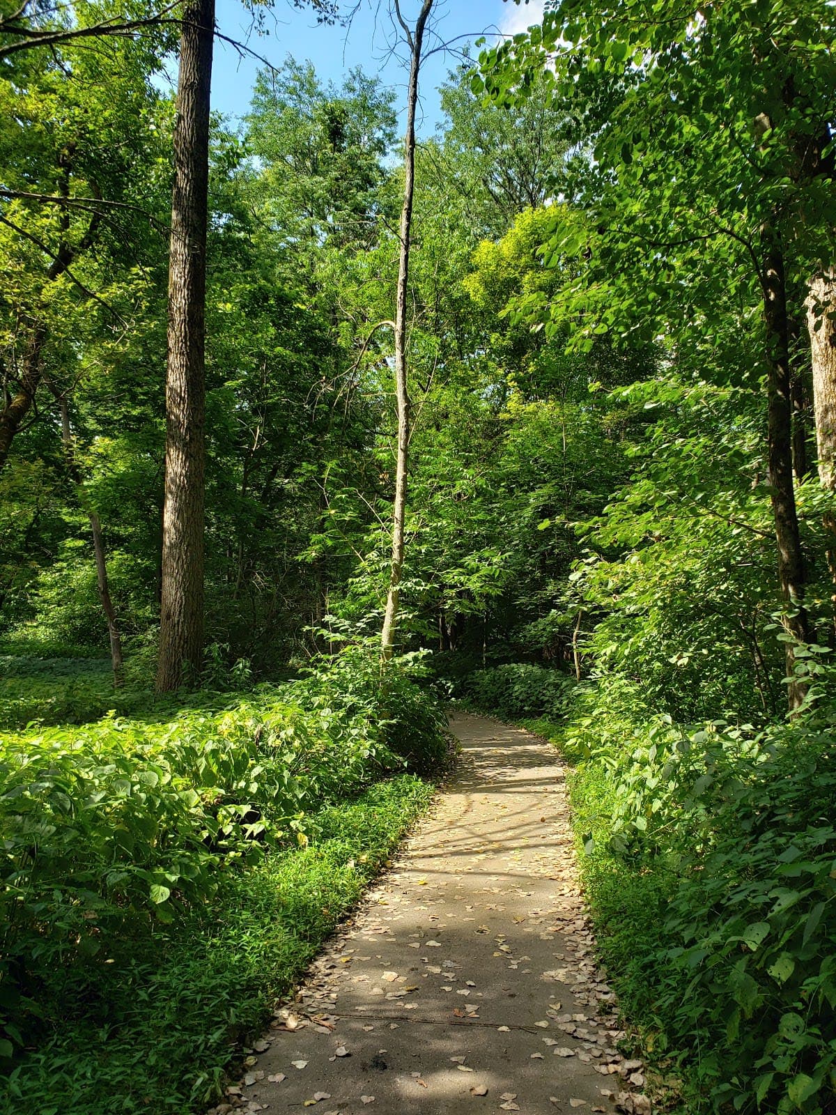 Franklin Creek State Natural Area