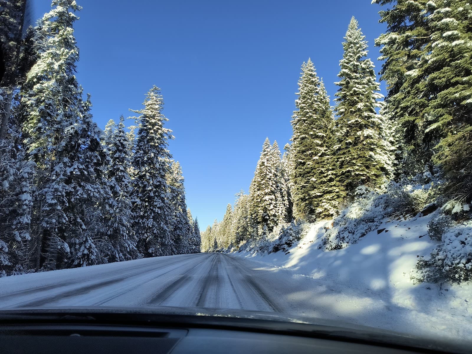 Fremont-Winema National Forest