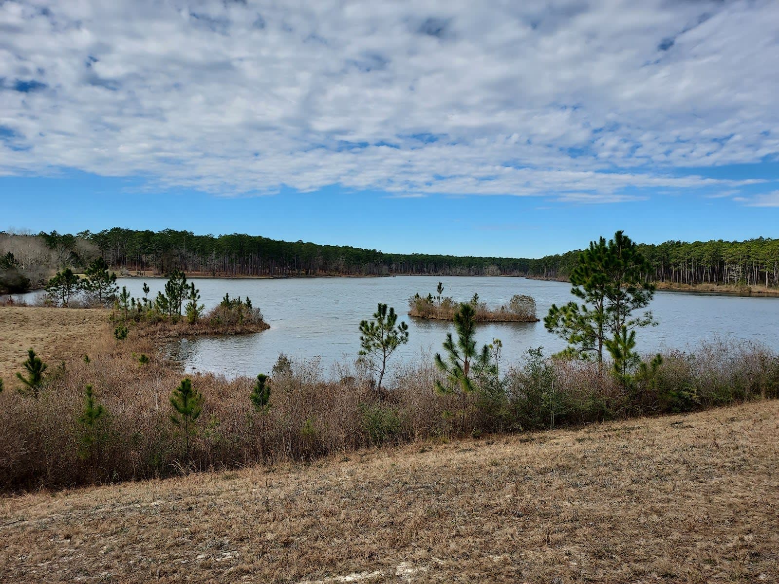 Geneva State Forest