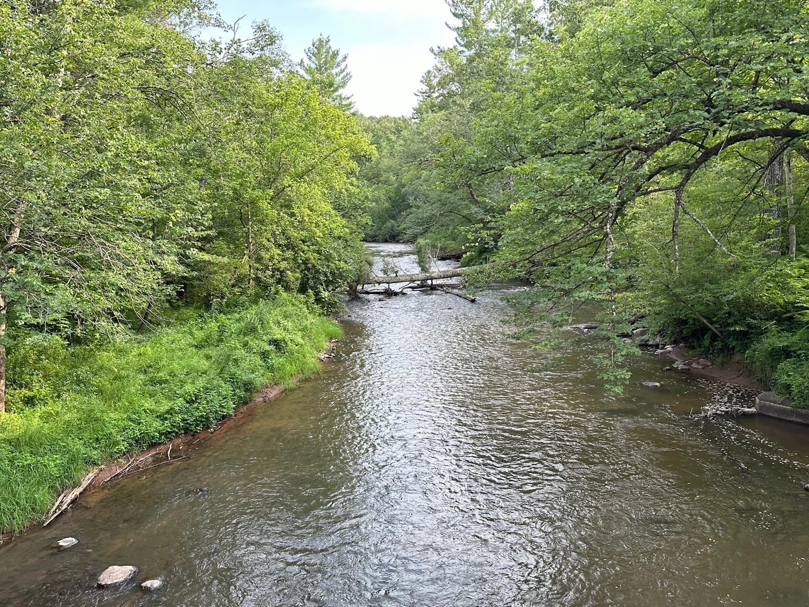 Governor Knowles State Forest