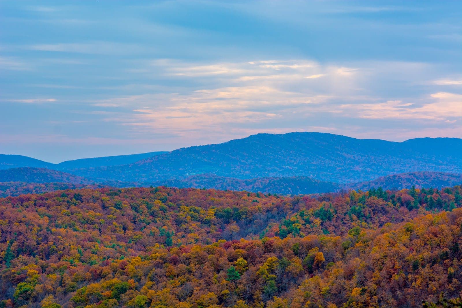 Green Ridge State Forest
