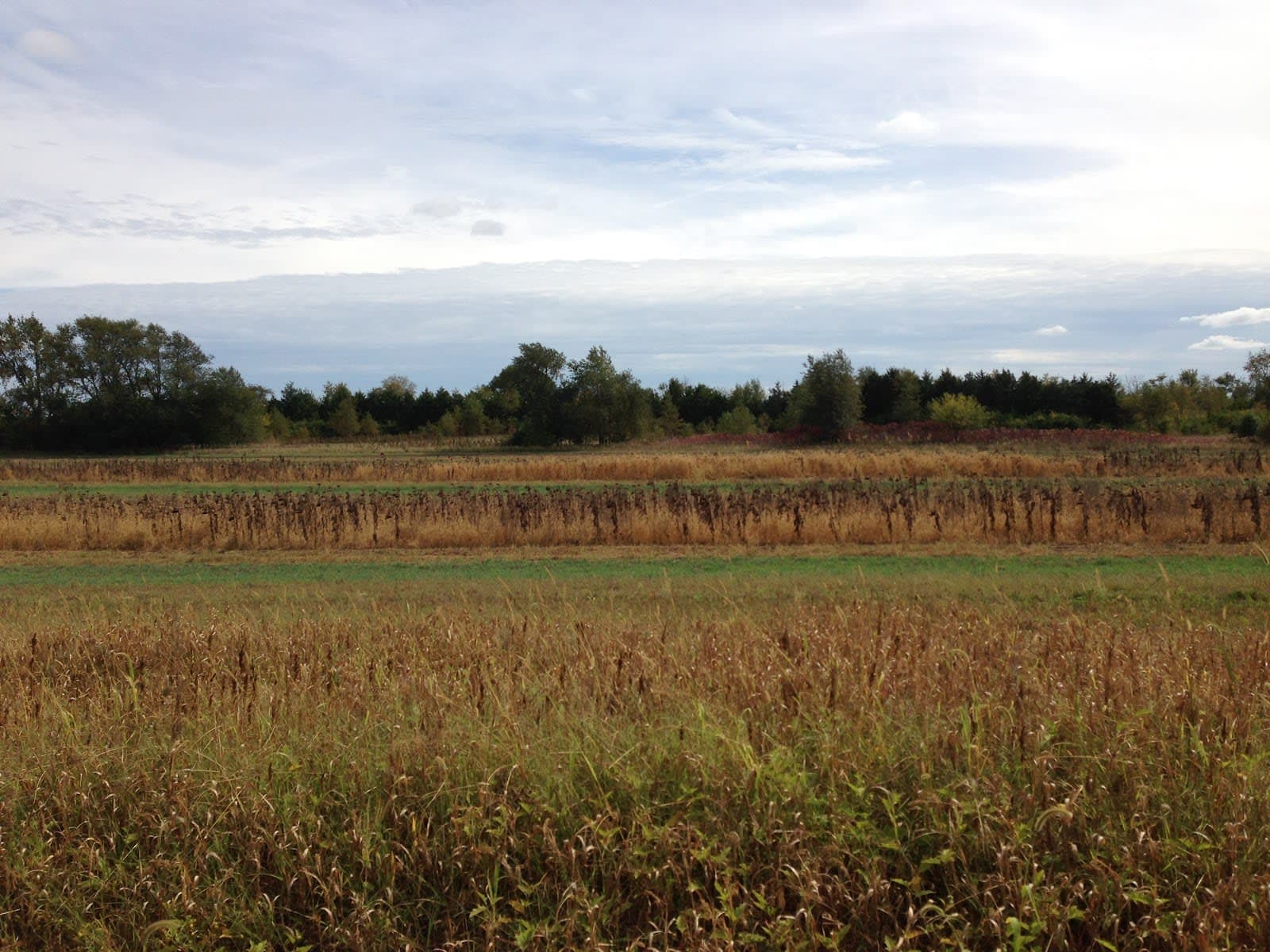 Green River State Wildlife Area