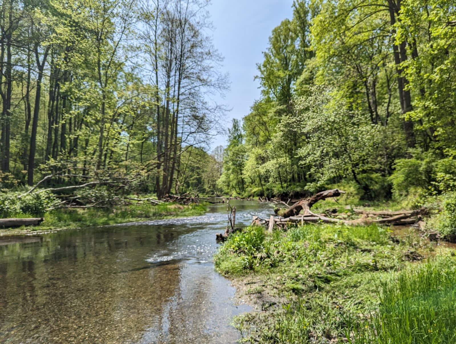 Gunpowder Falls State Park - Hereford Area