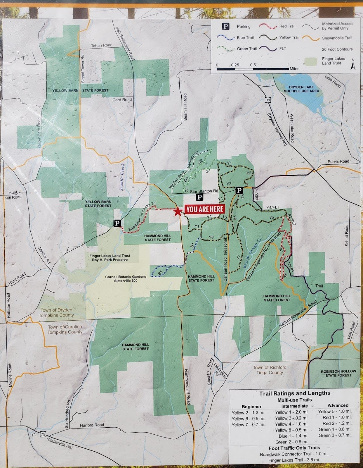 Hammond Hill State Forest