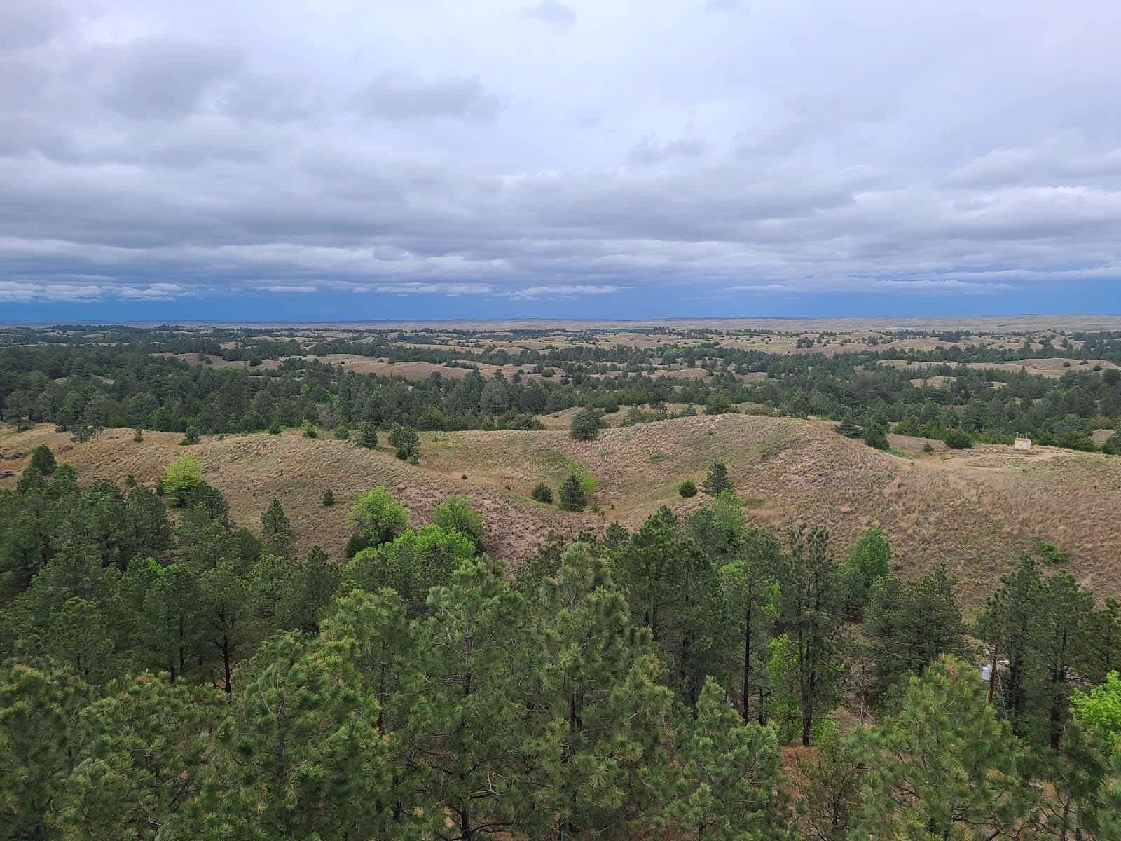Halsey National Forest Recreation Area