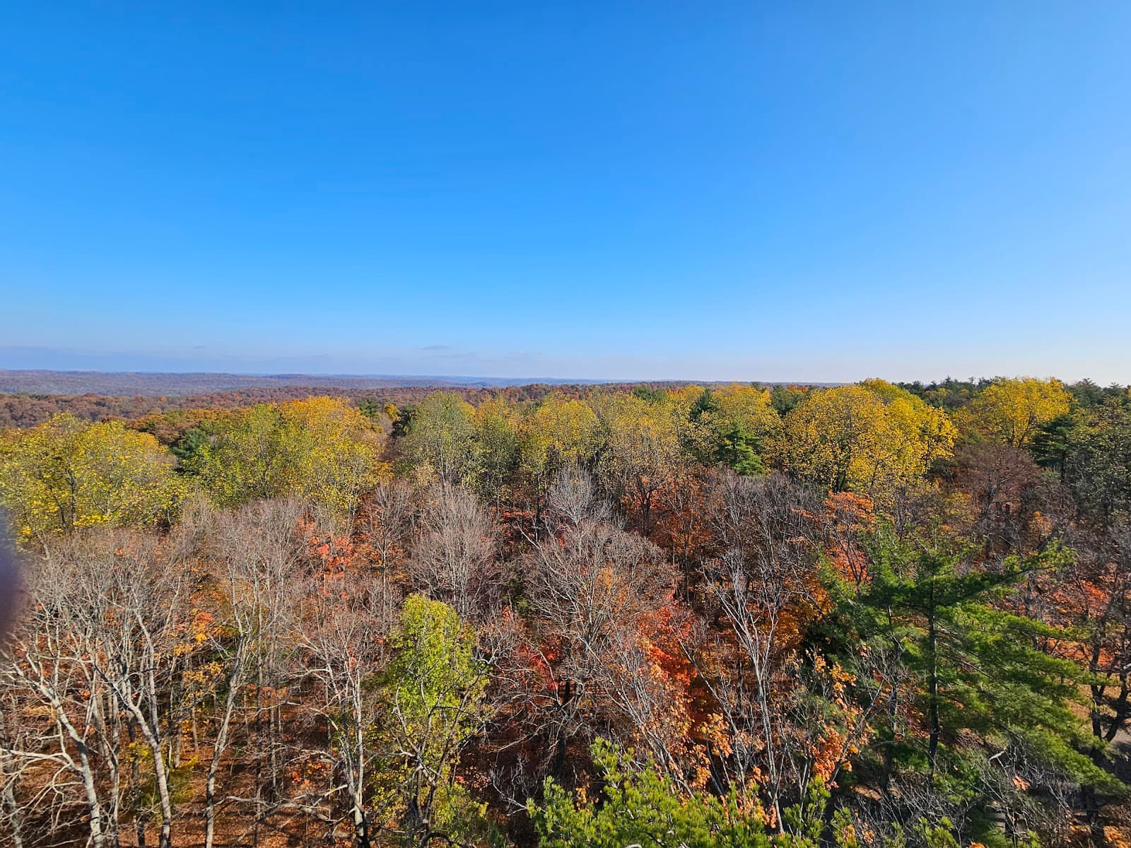 Harrison-Crawford State Forest