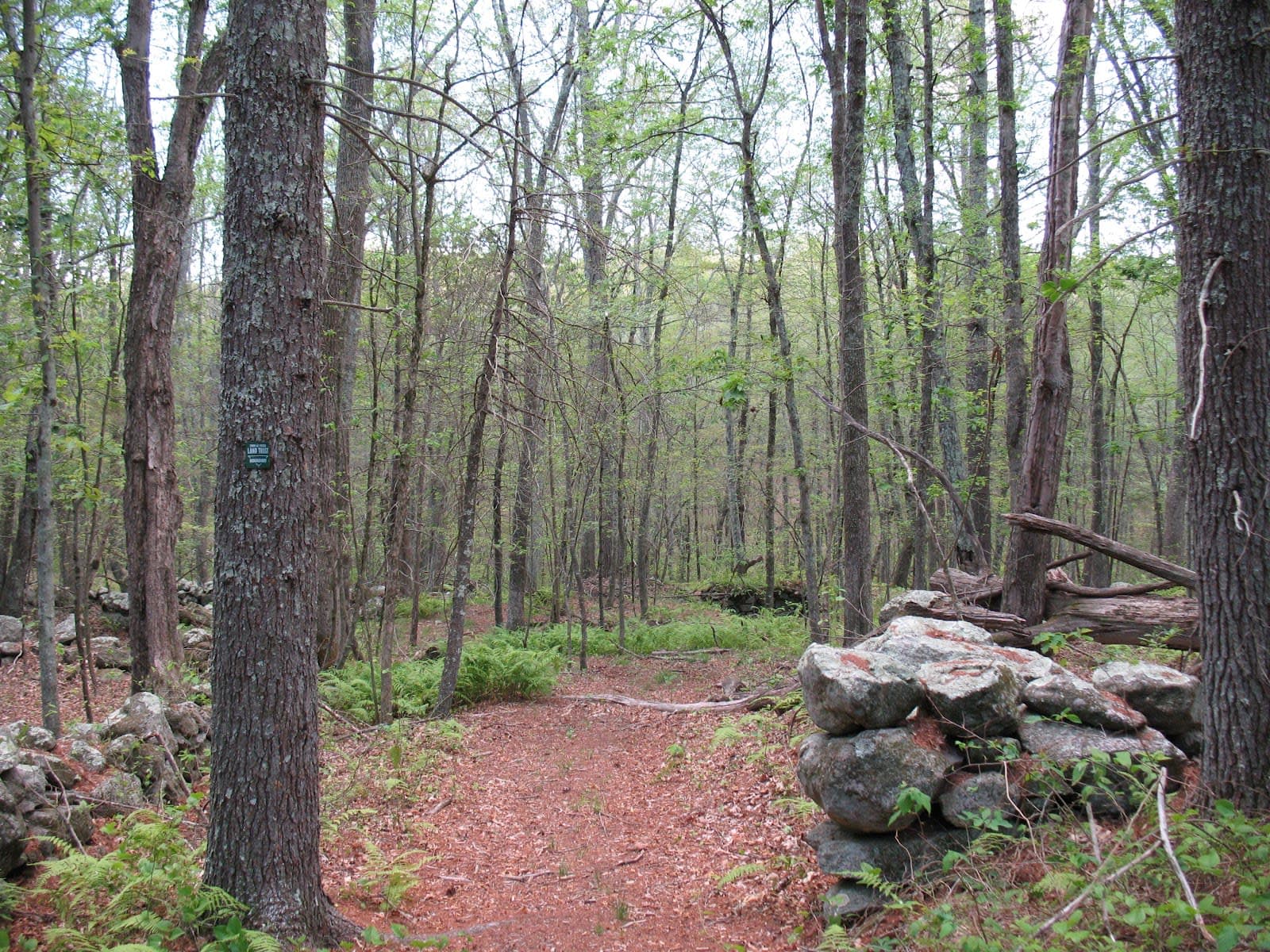 Hayfield Property