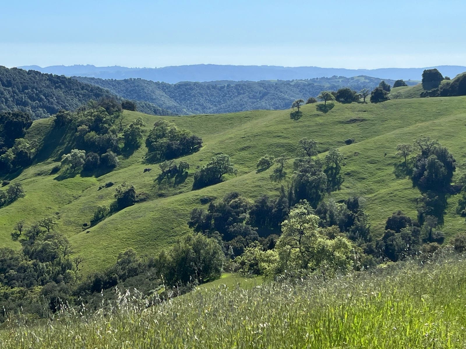 Henry W. Coe State Park