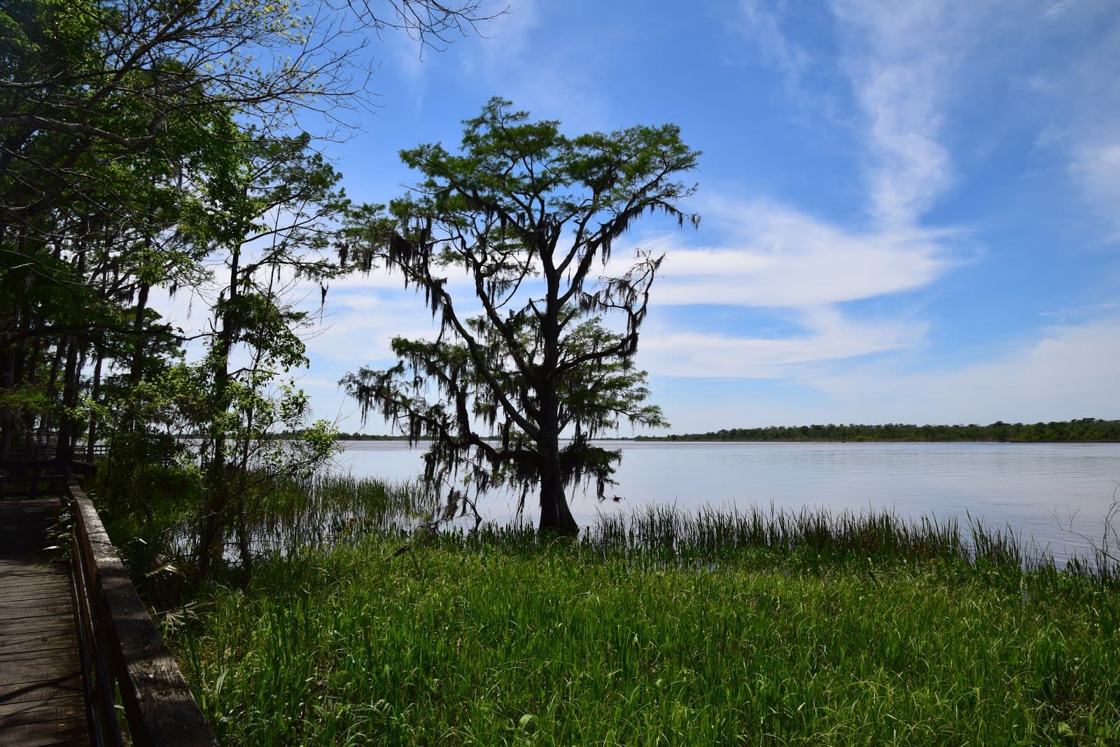 Historic Blakeley State Park