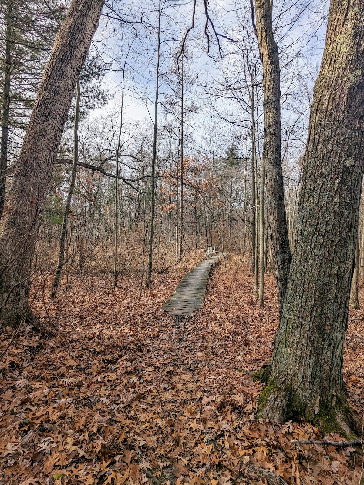 Ionia State Recreation Area