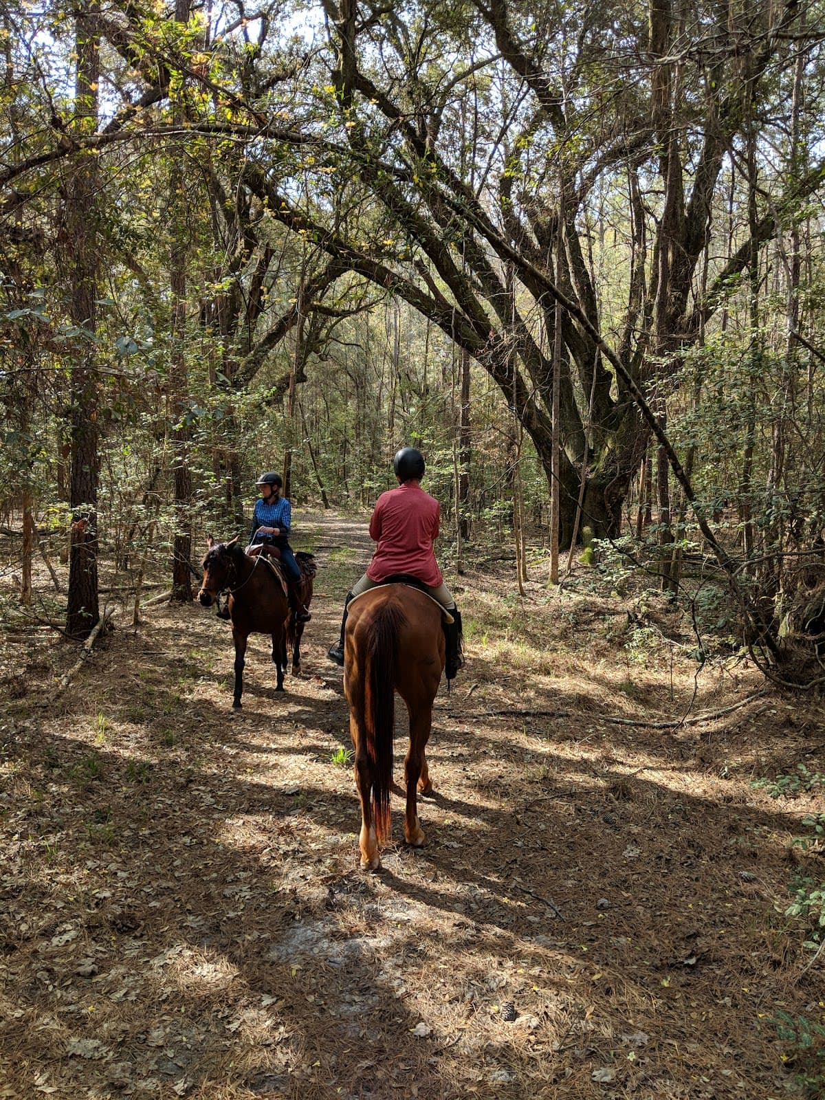 Jericho Horse Trail