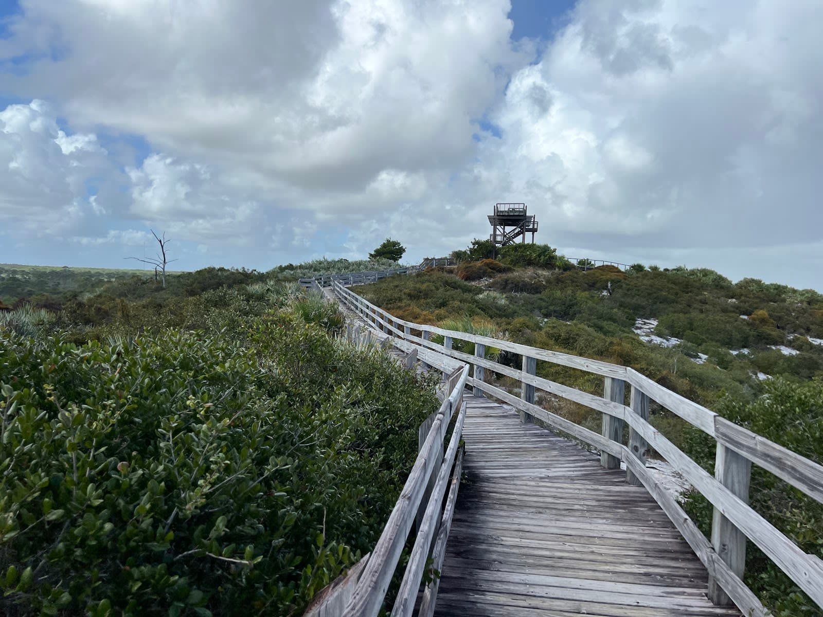 Jonathan Dickinson State Park