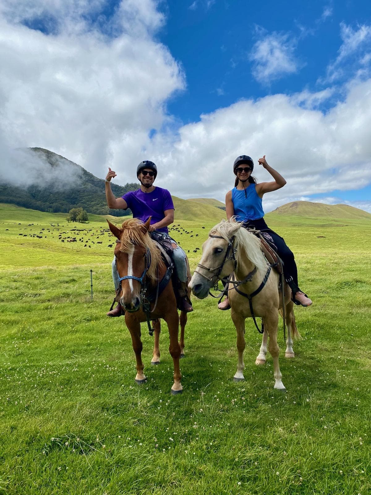 Kahua Ranch / Naʻalapa Stables