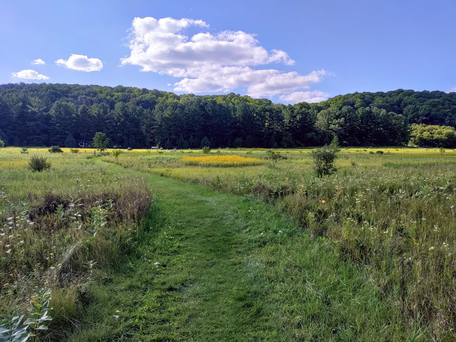 Kettle Moraine State Forest – Loew Lake Unit