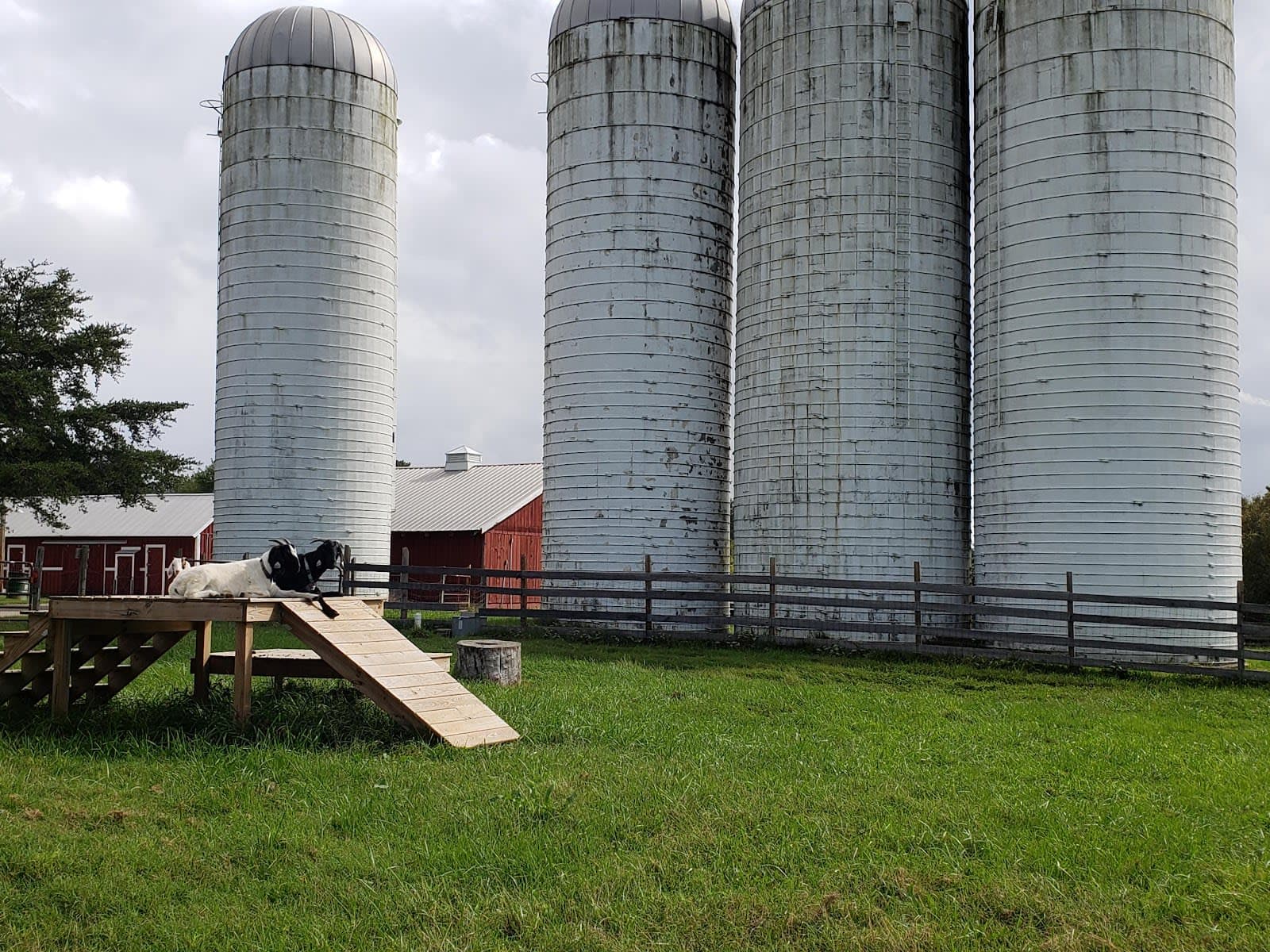 Kinder Farm Park