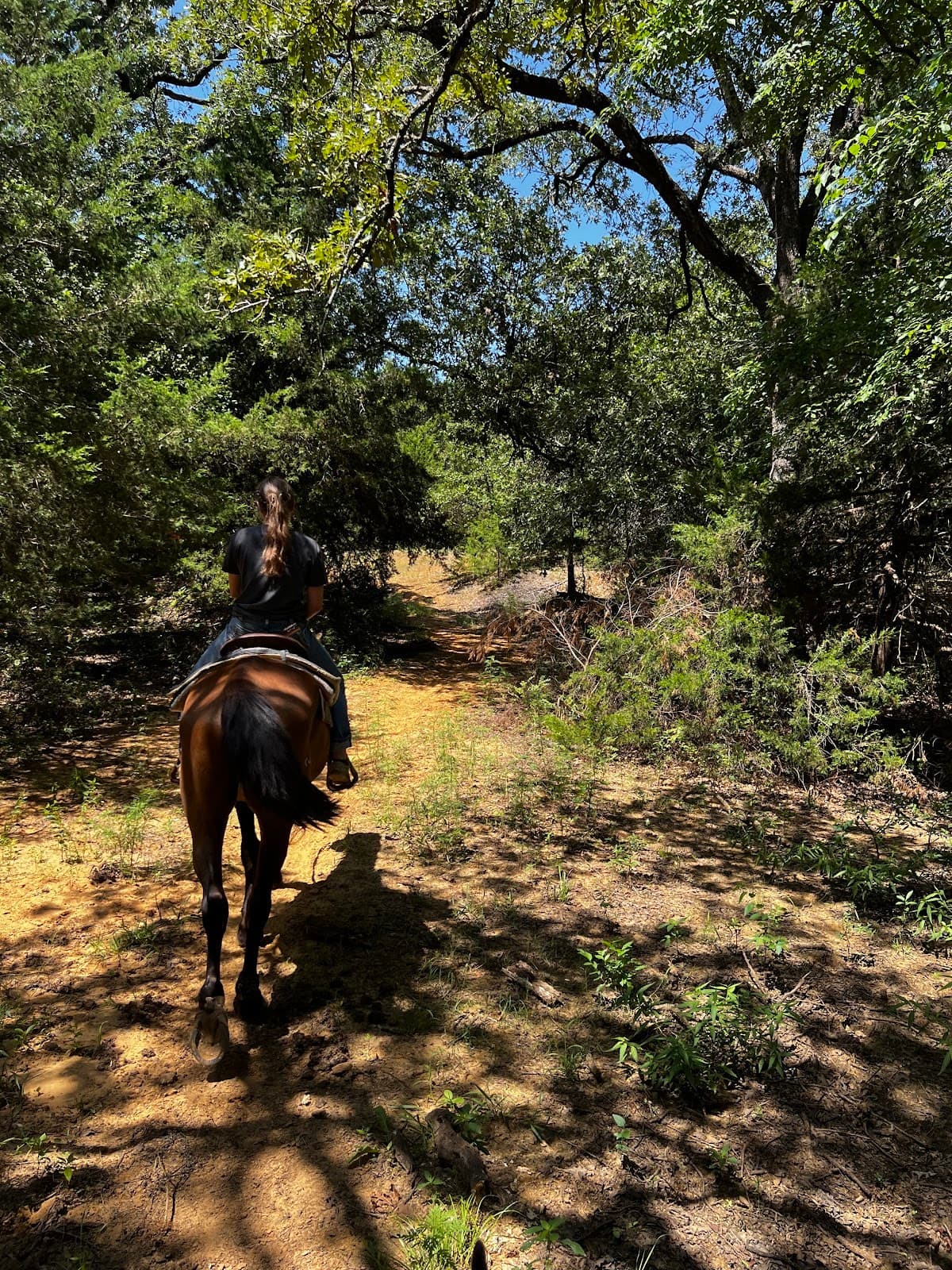 Lake Murray State Park & Lake Murray Riding Stables